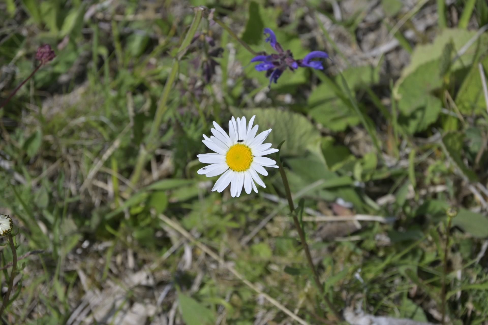 _DSC7839.JPG