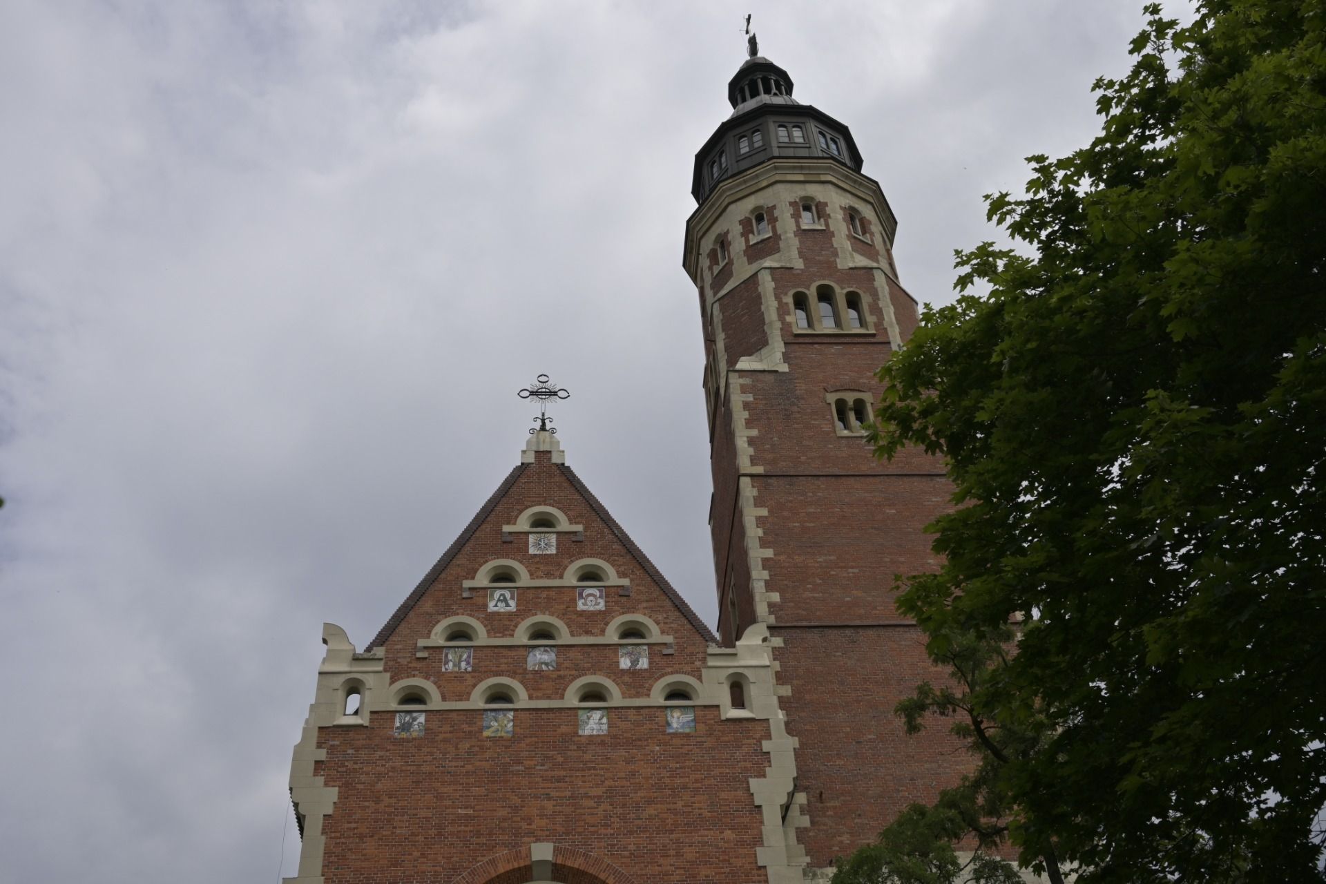 _DSC8613.JPG