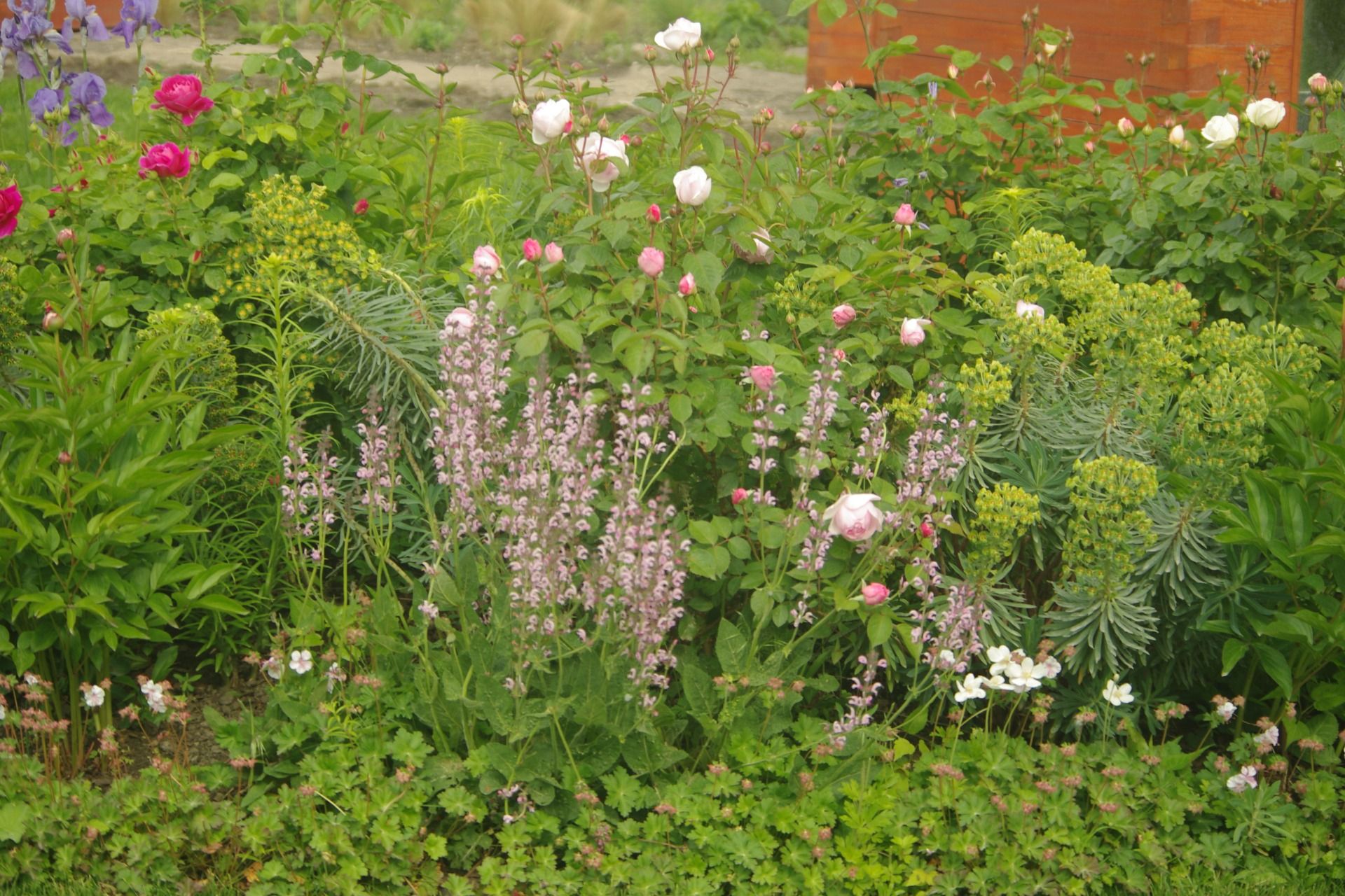 IMGP0150.JPG