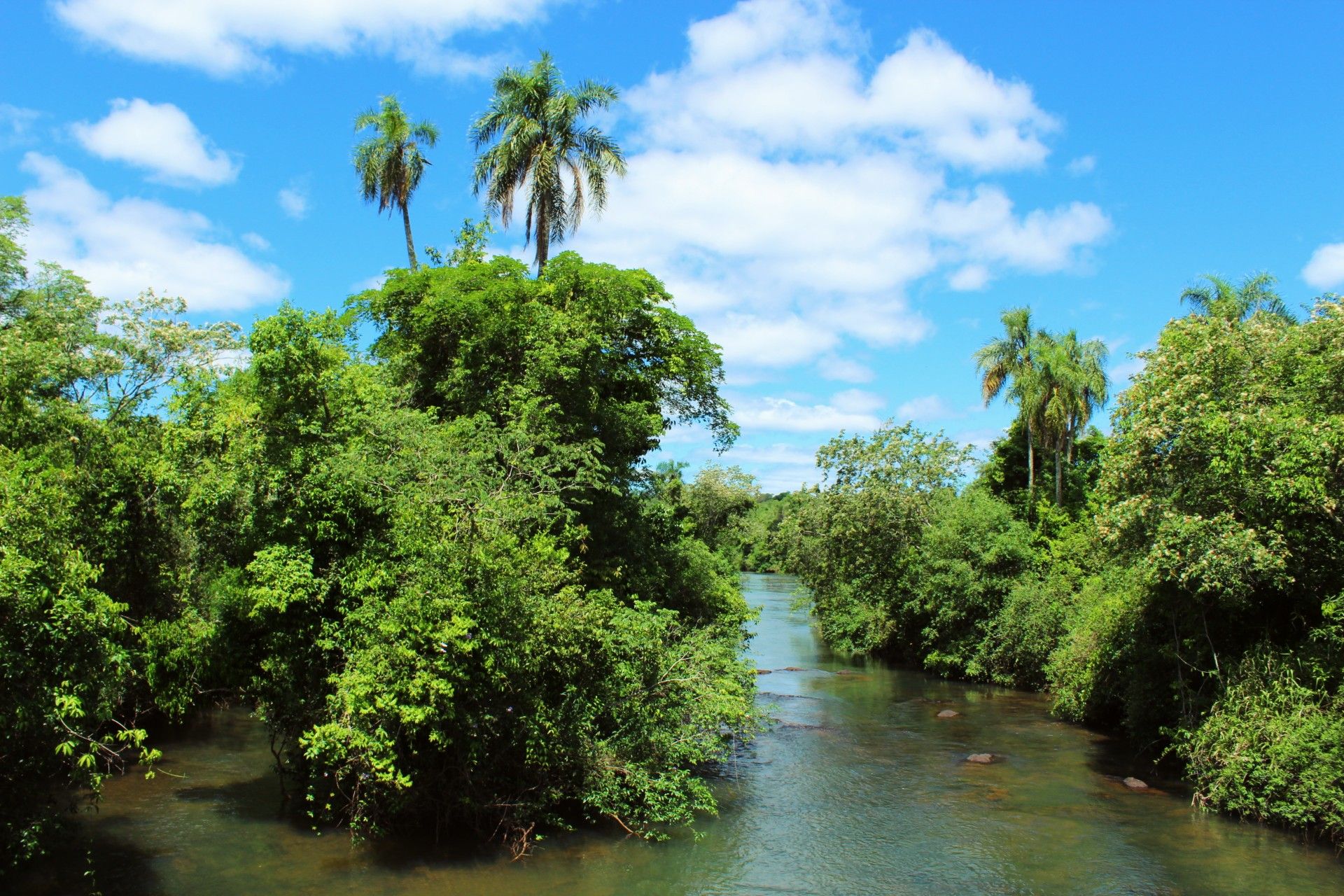 Wyjazd do Ameryki Południowej wpis nr. 8 Argentyna - Wodospad Iguazu