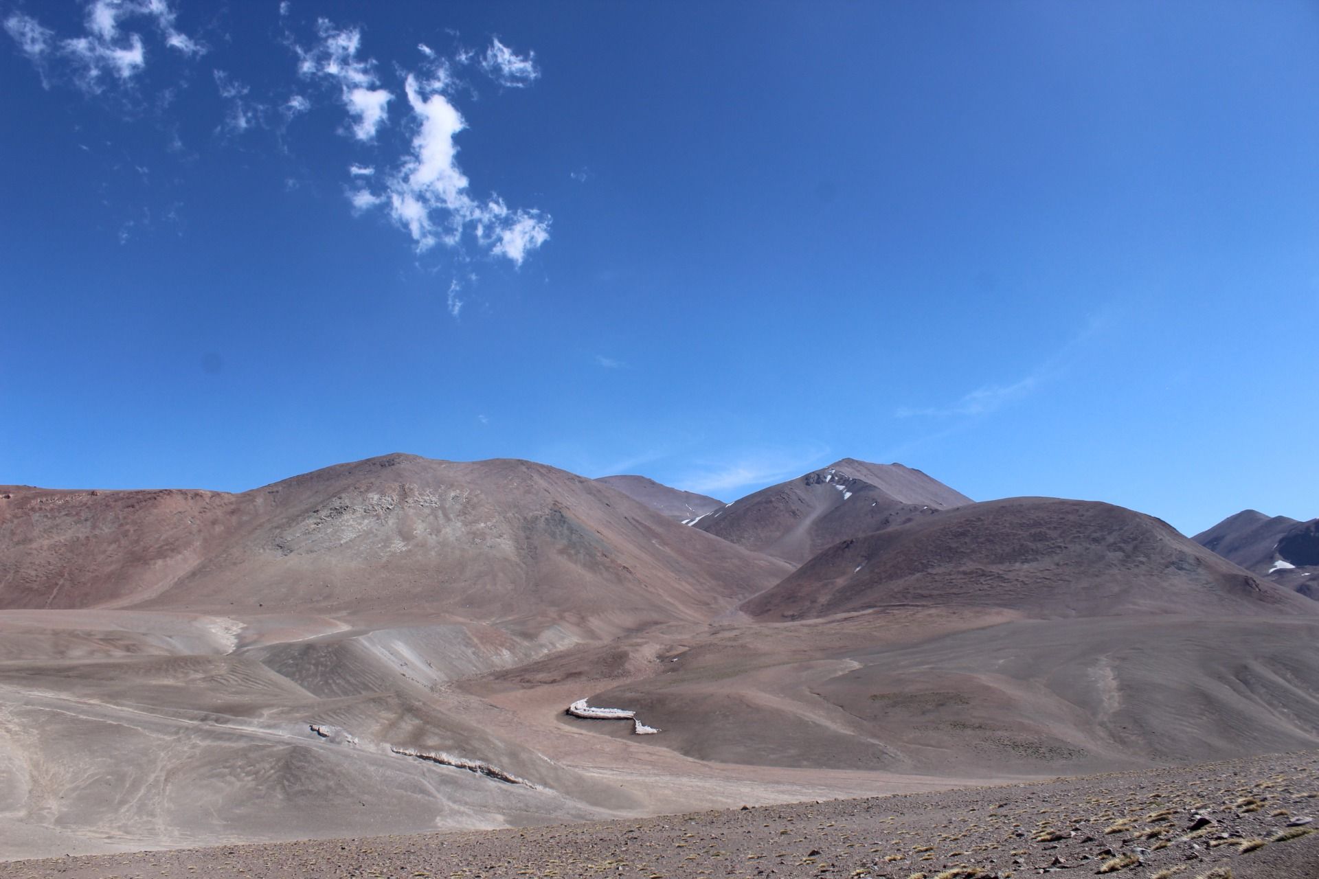 IMG_8781.JPG
