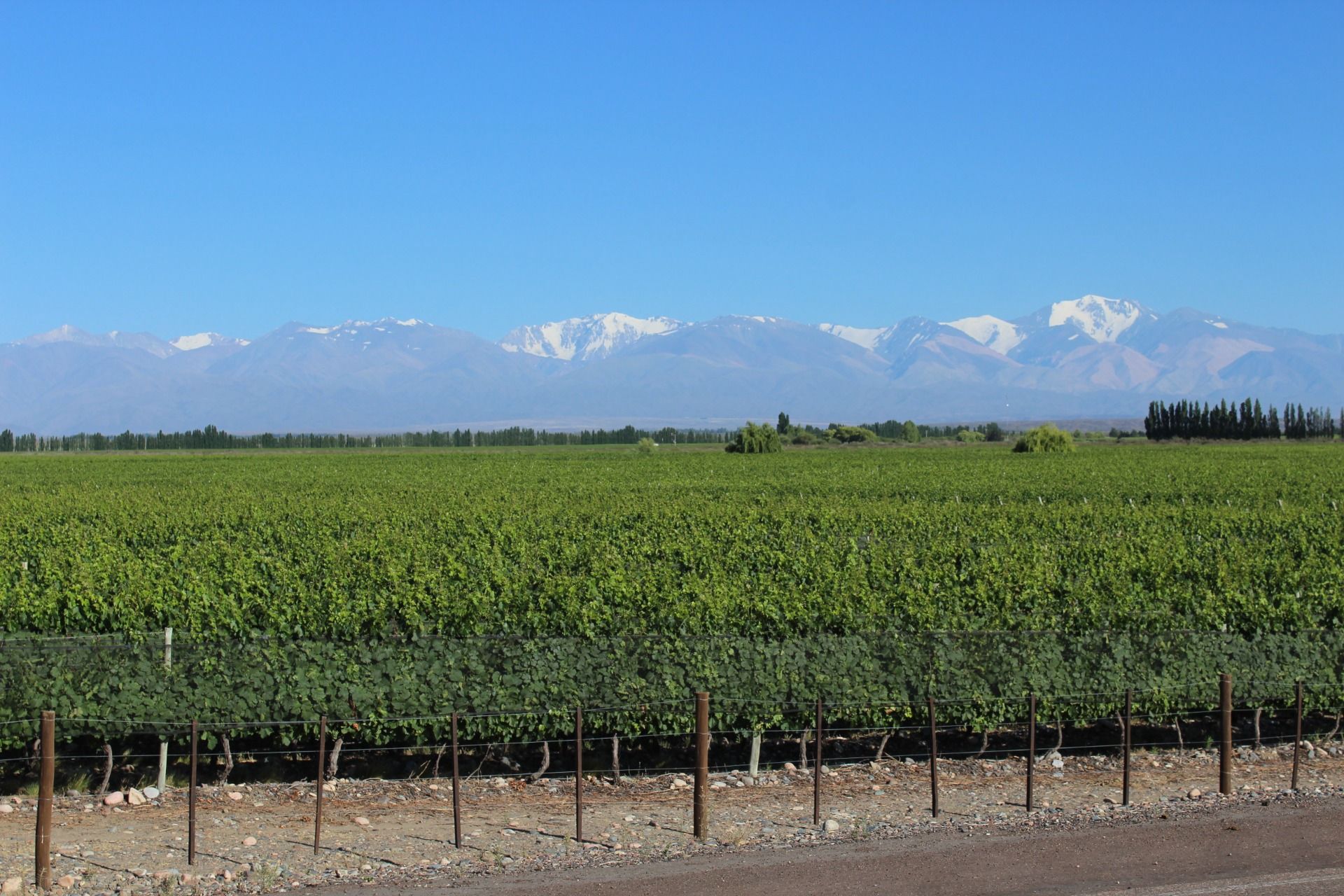 Wyjazd do Ameryki Południowej wpis nr. 49 Argentyna - Mendoza