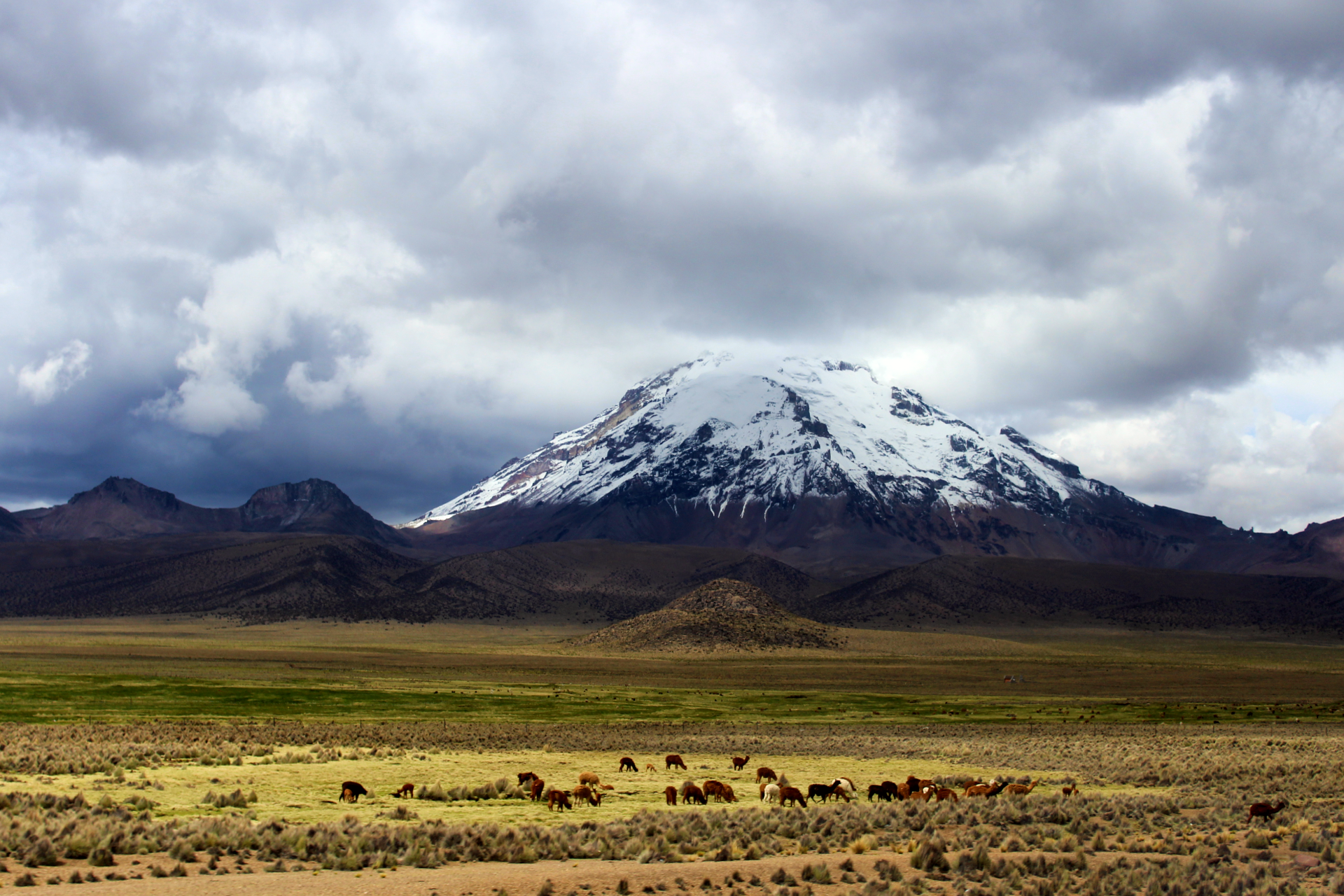 Trip to South America no. 69 Chile&Bolivia - Volcanoes at the border