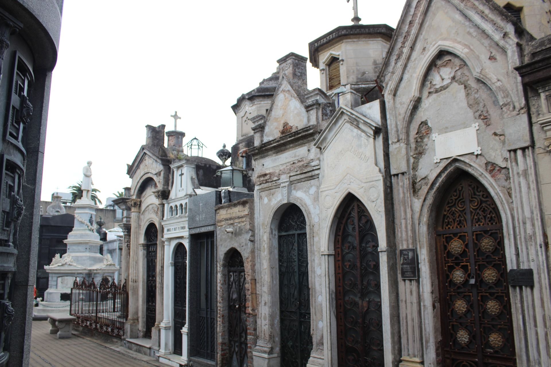 IMG_6990.JPG