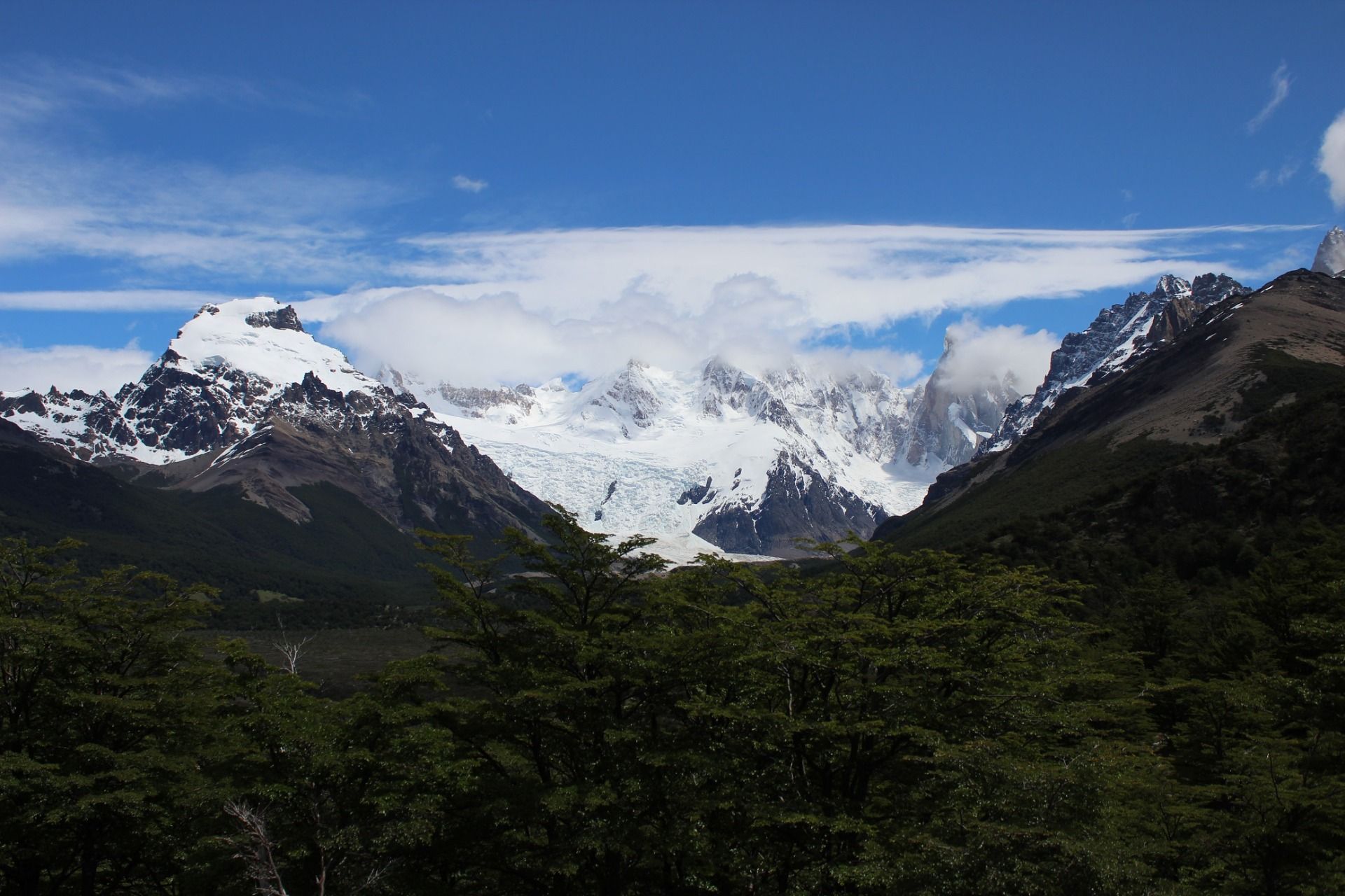 IMG_7799.JPG