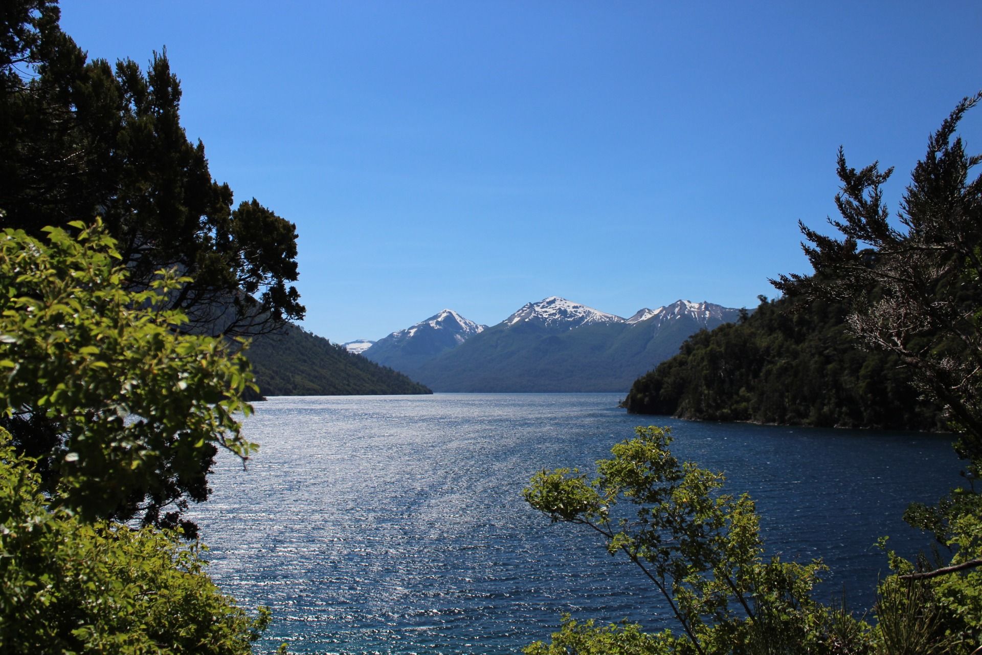 IMG_8299.JPG