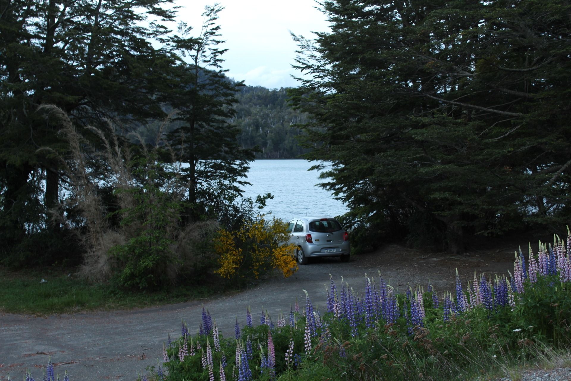 IMG_8466.JPG