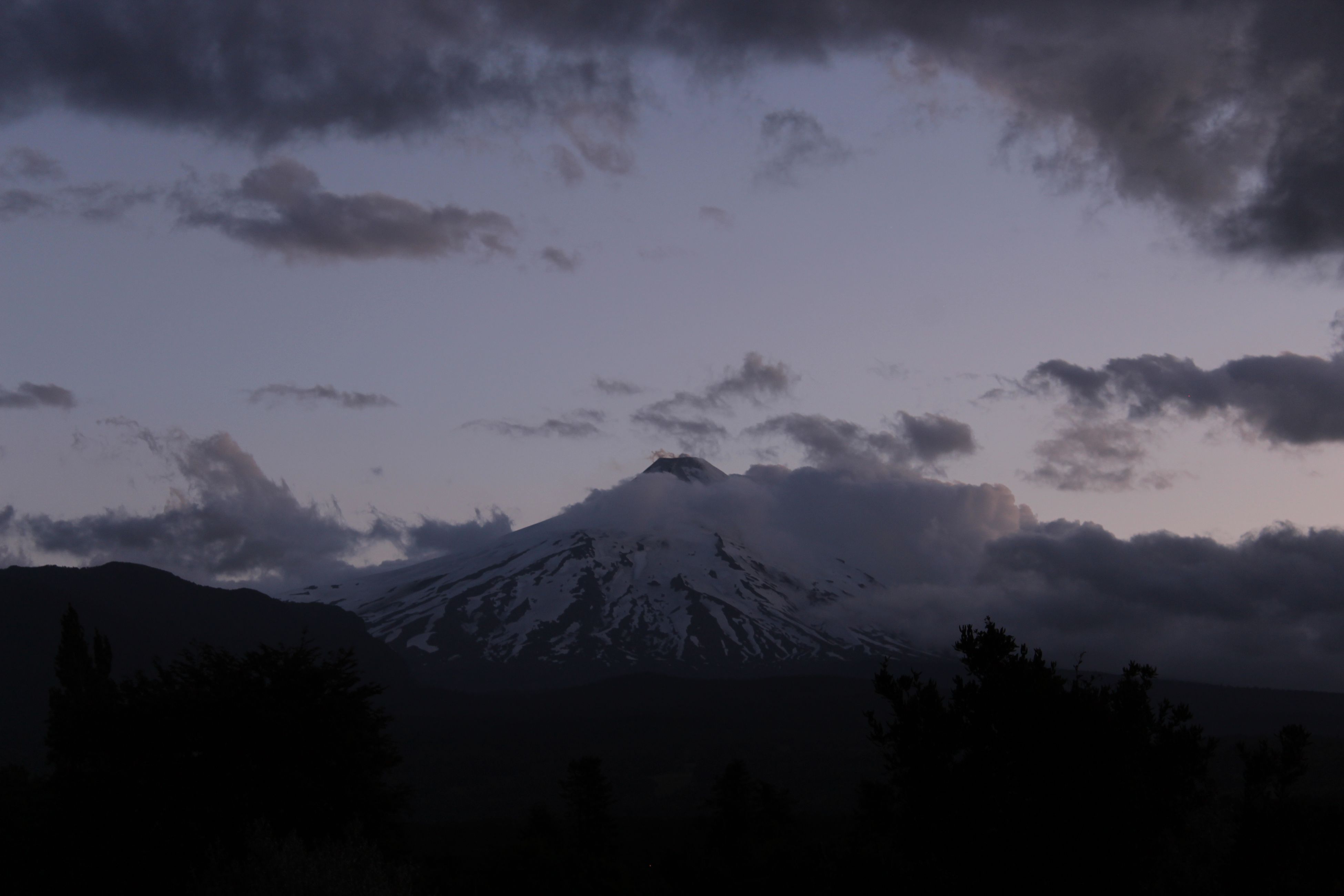 IMG_8479.JPG