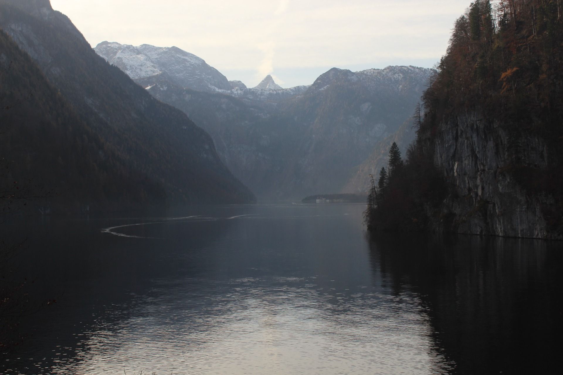 IMG_4496.JPG