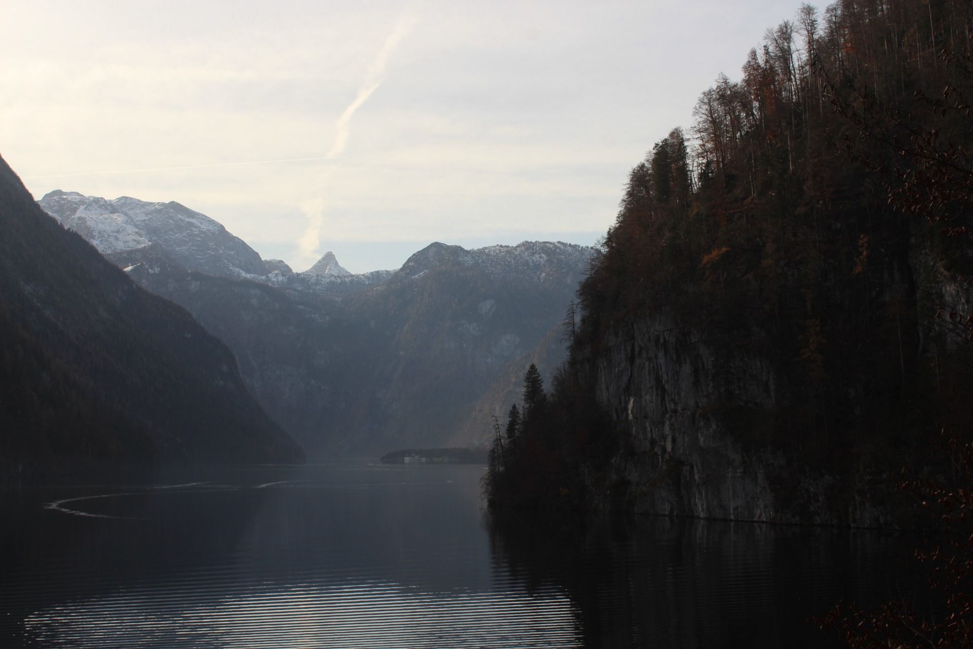 IMG_4494.JPG