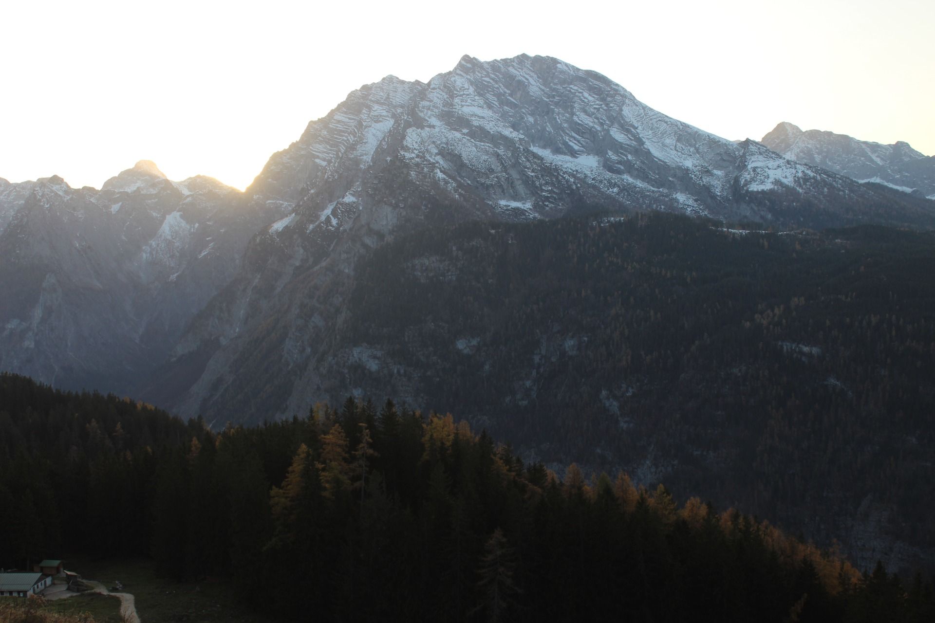 IMG_4586.JPG