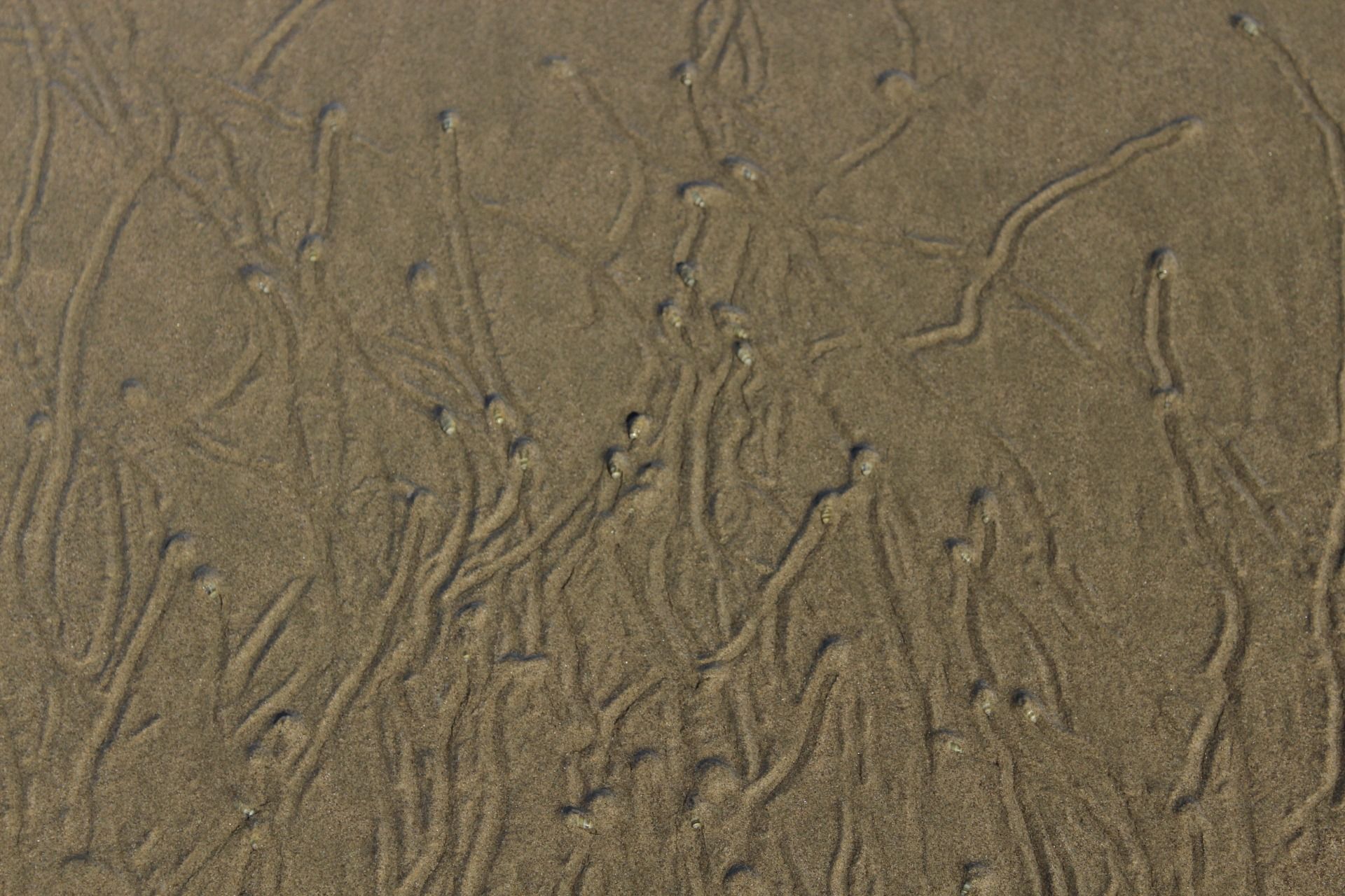 Trip to South America no. 80 Peru - Mancora