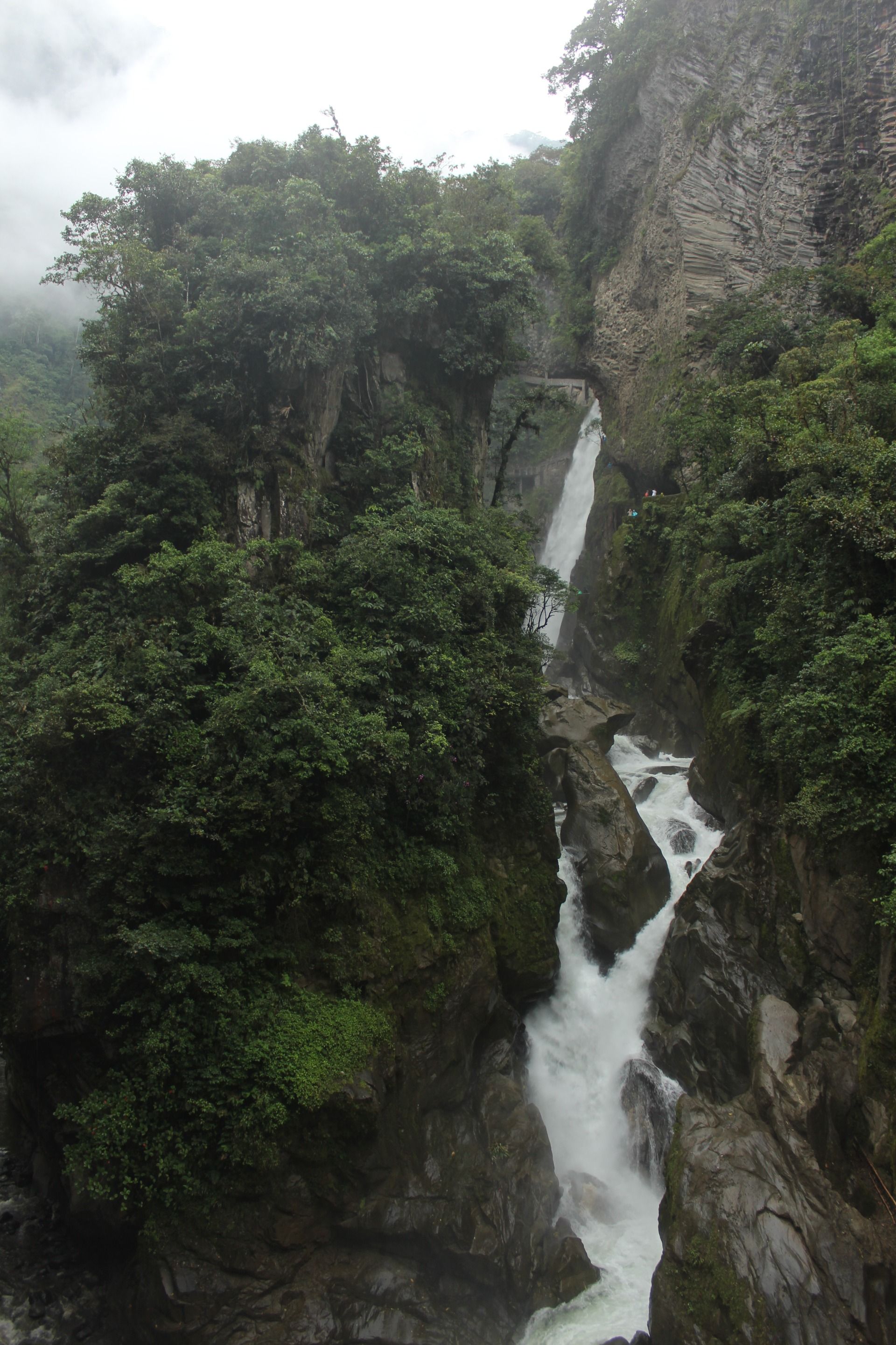 IMG_1045.JPG