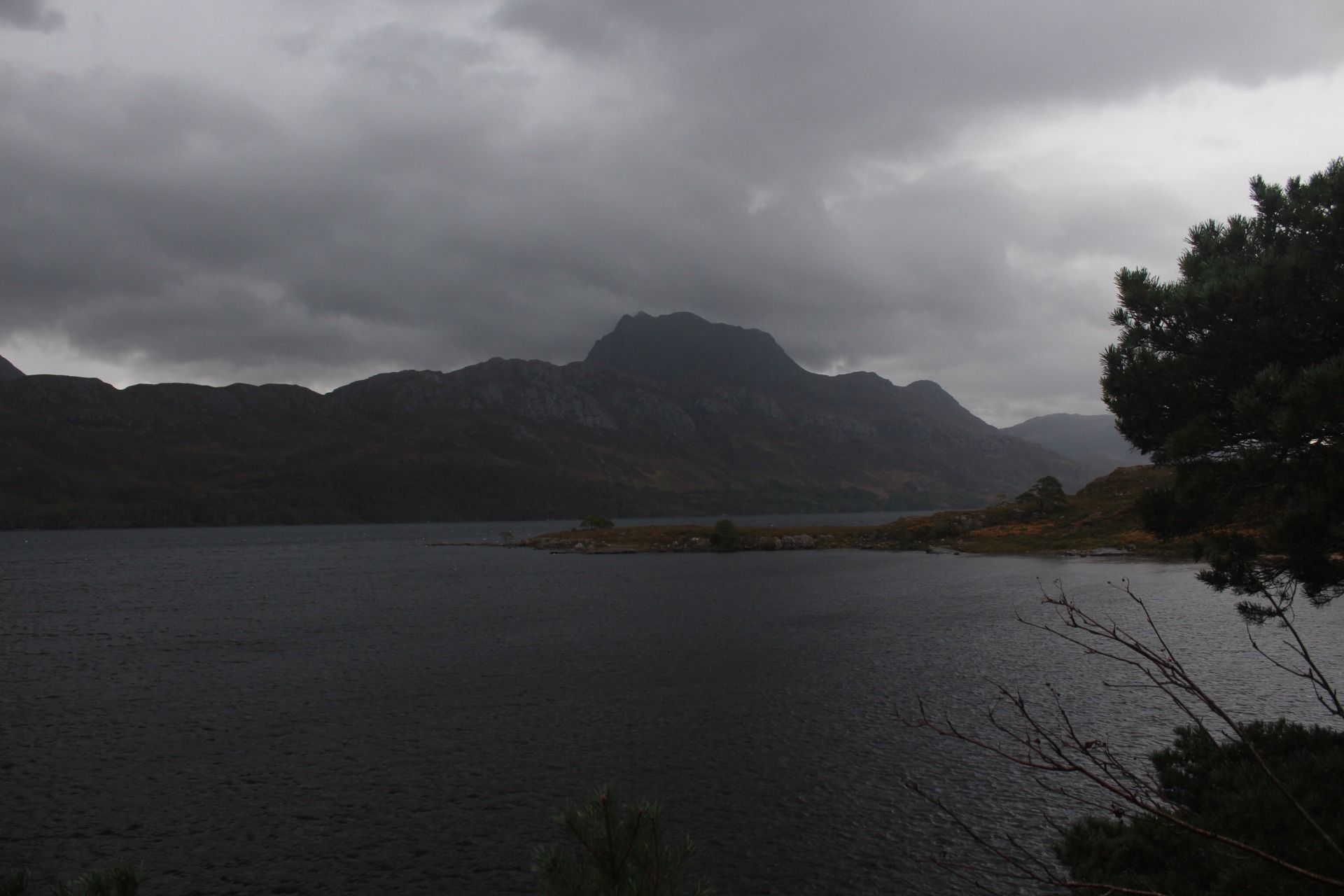 IMG_7631.JPG