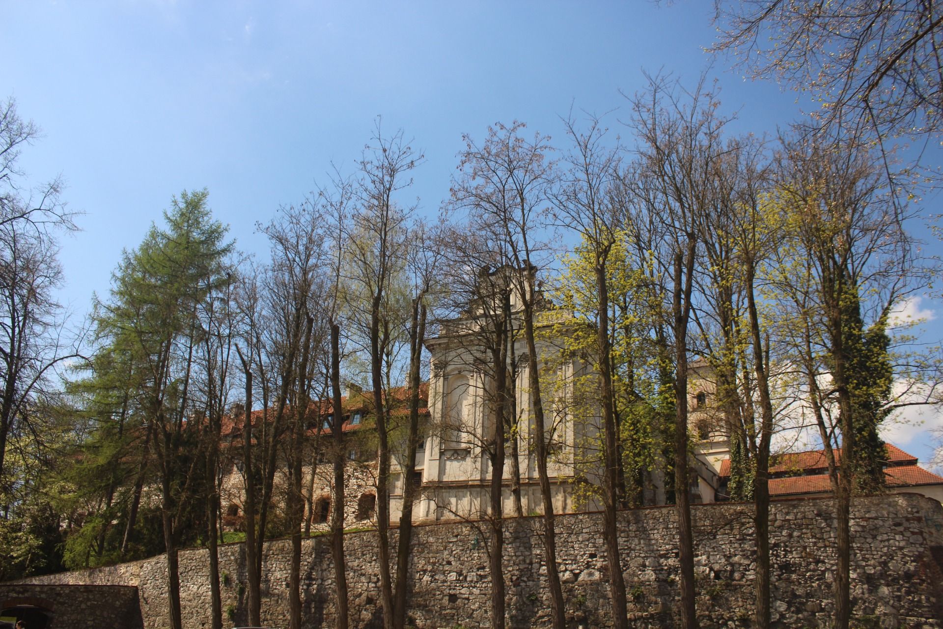 IMG_8740.JPG