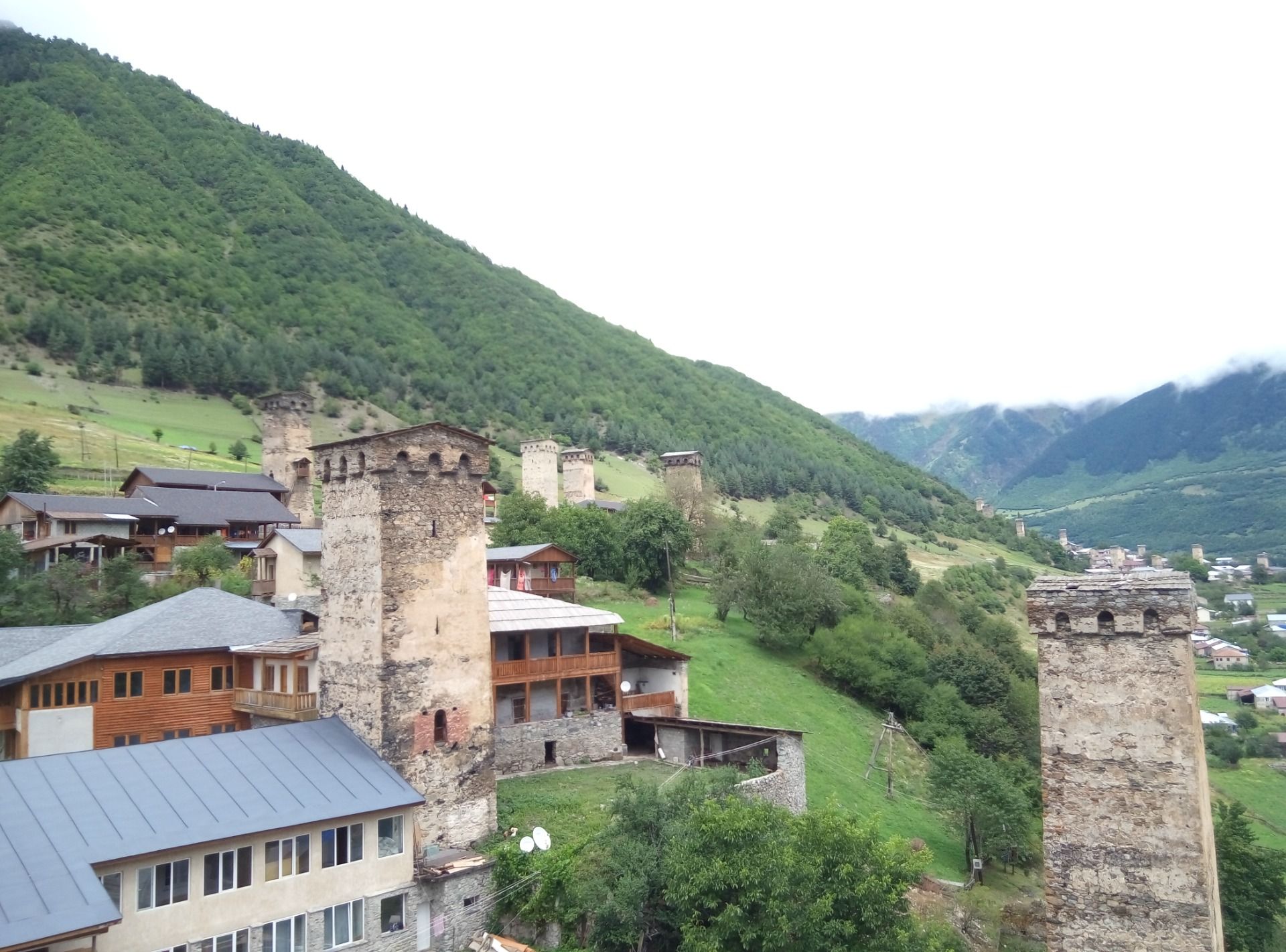 P60905-105449.jpg