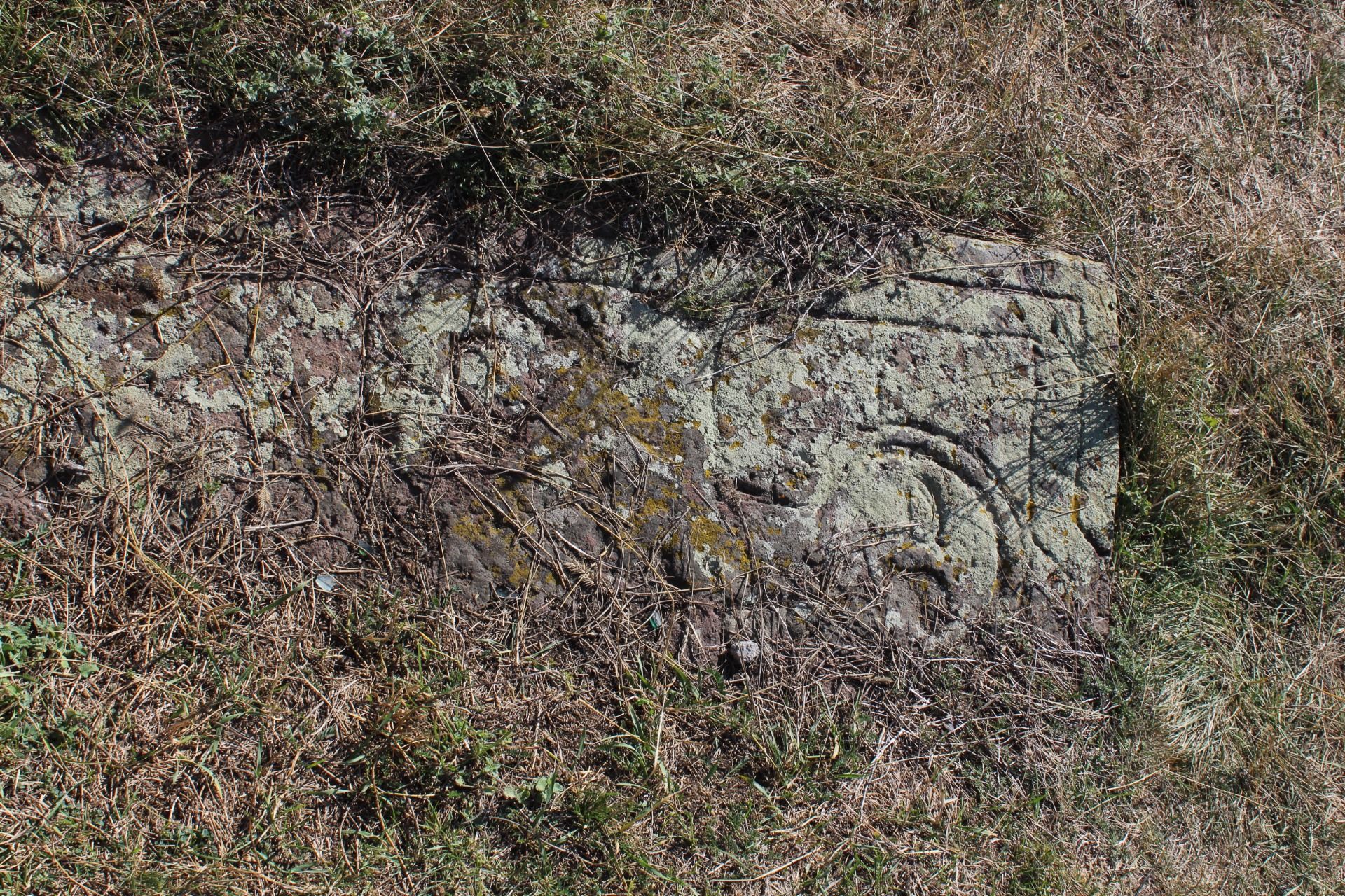 IMG_0825.JPG