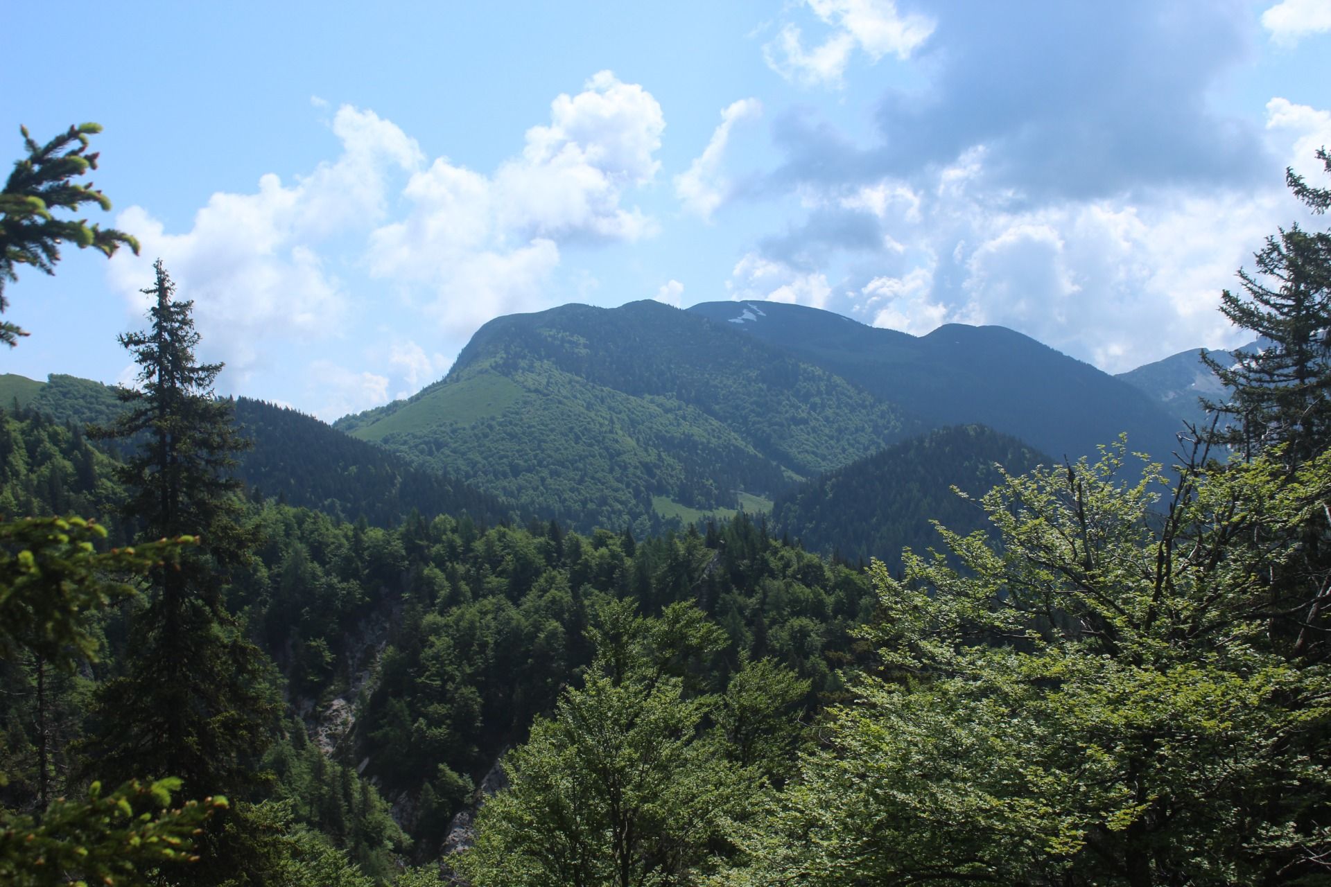 IMG_9653.JPG