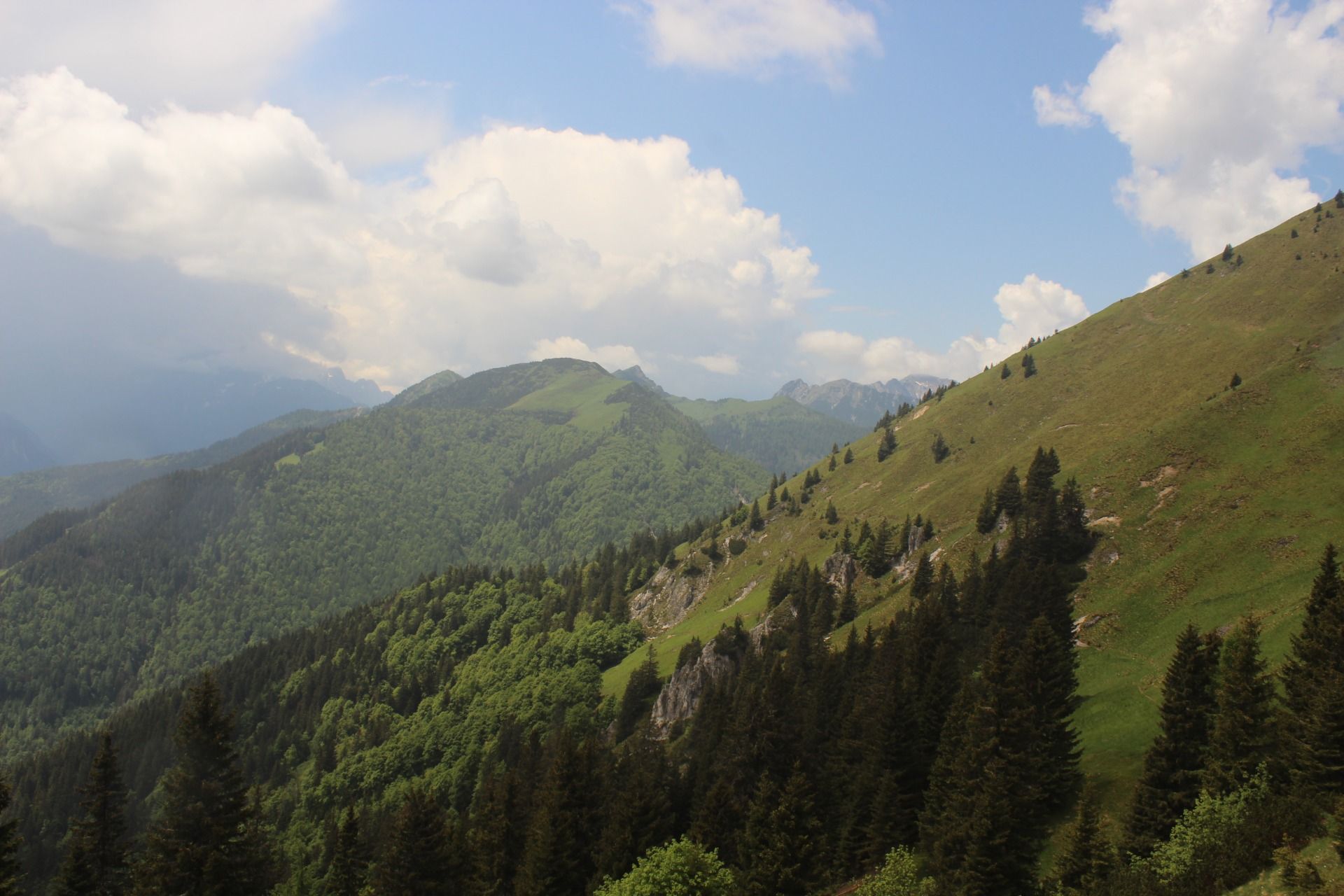 IMG_9766.JPG