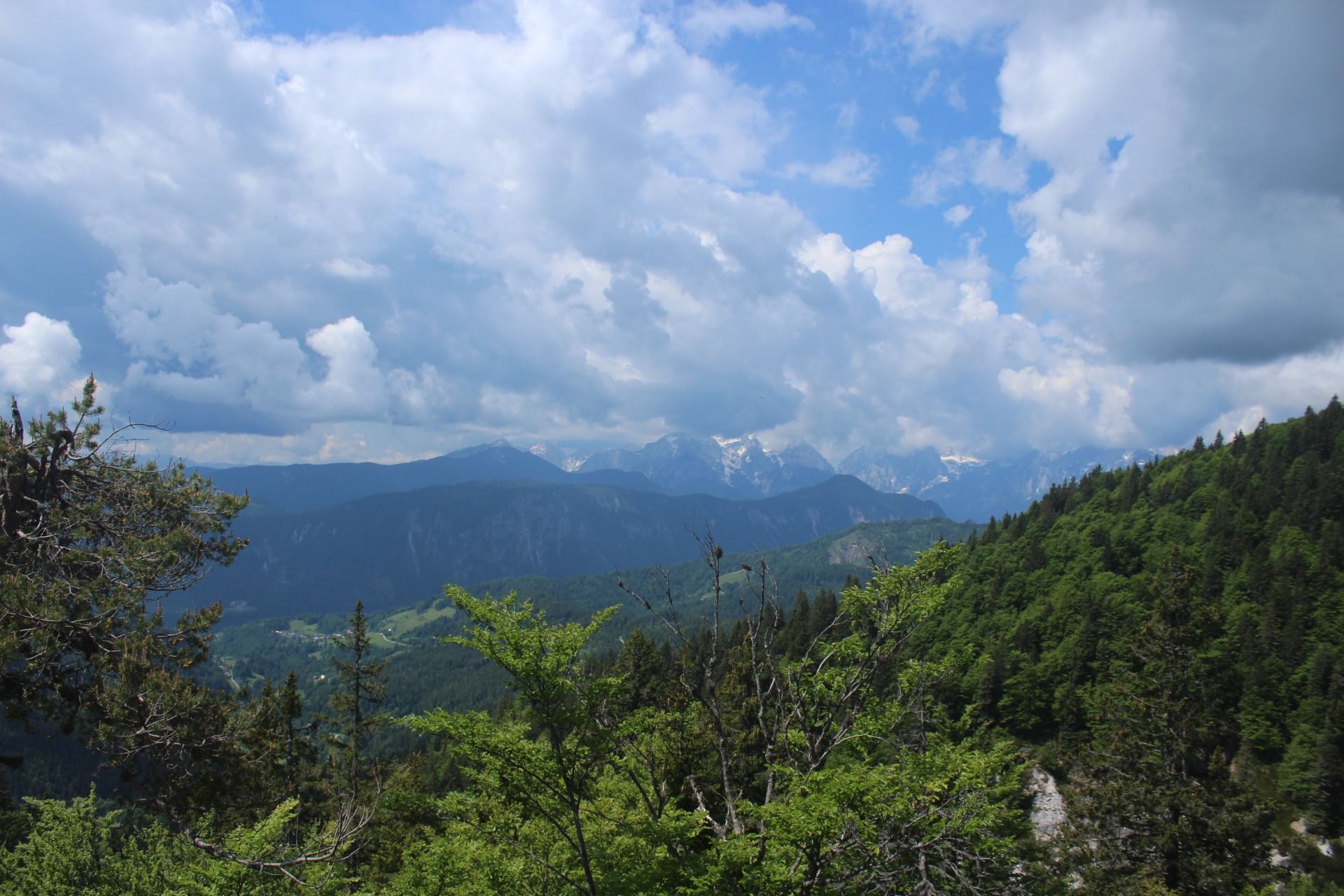 IMG_9654.JPG