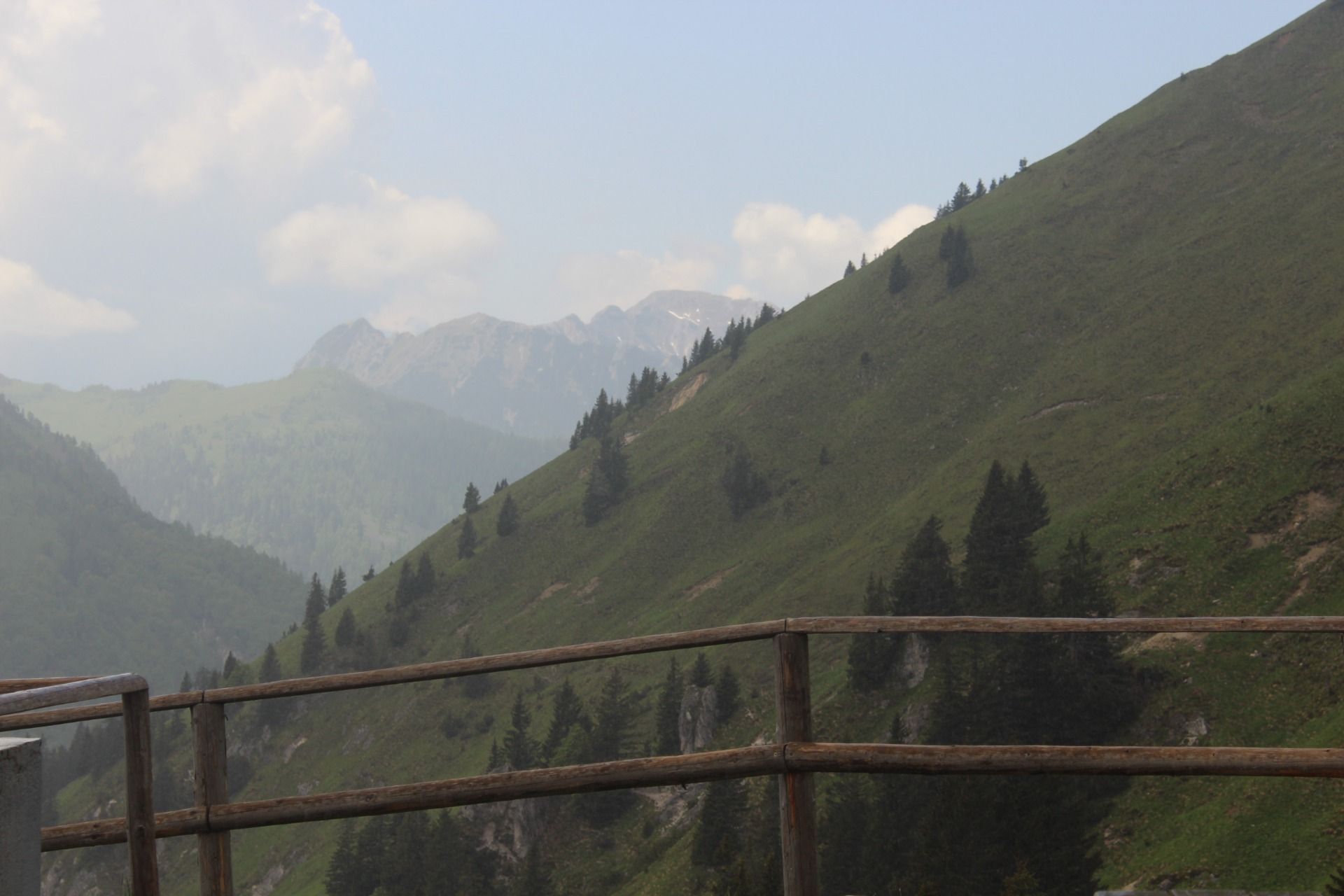 IMG_9751.JPG
