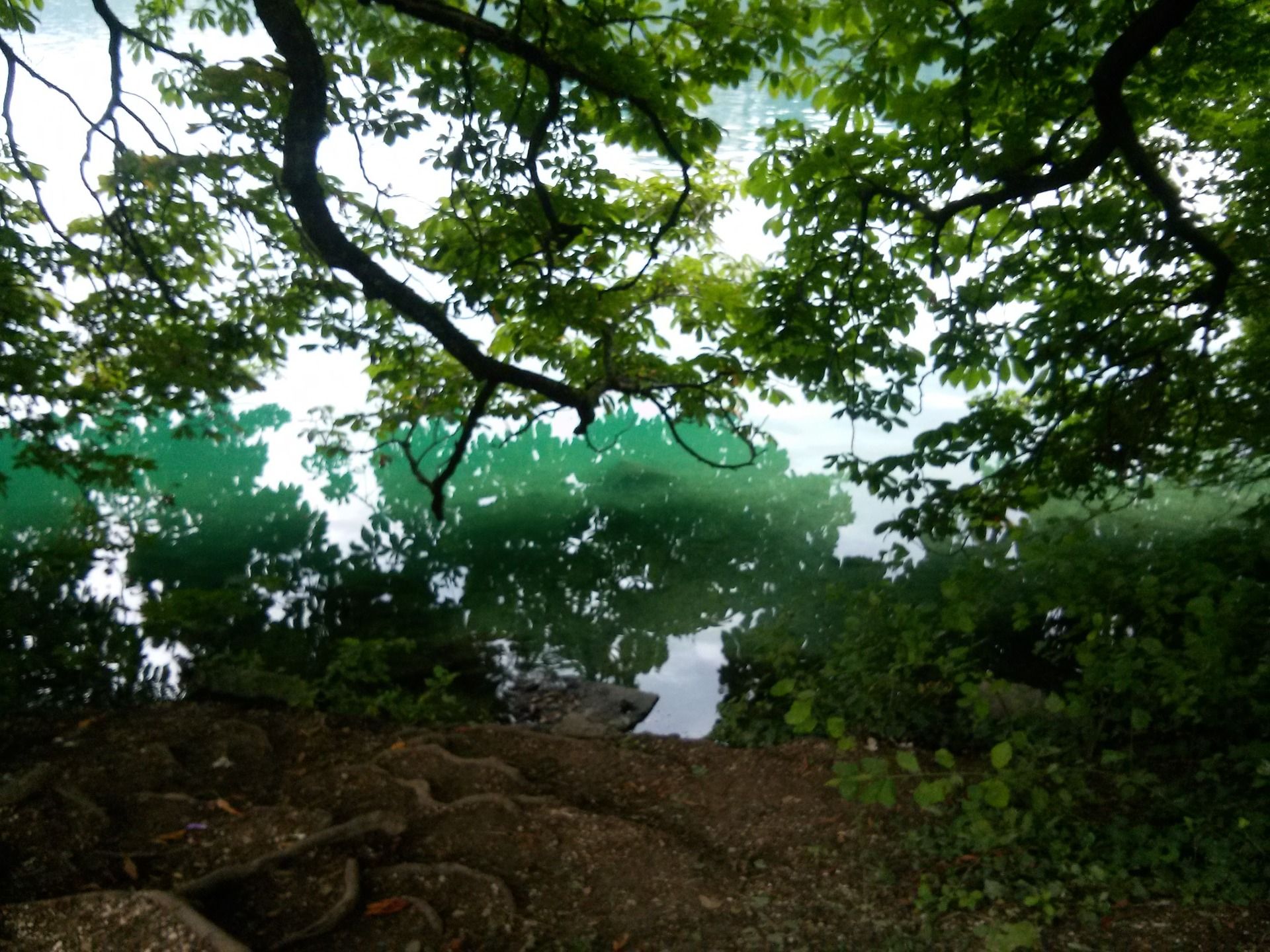 CAM00908.jpg