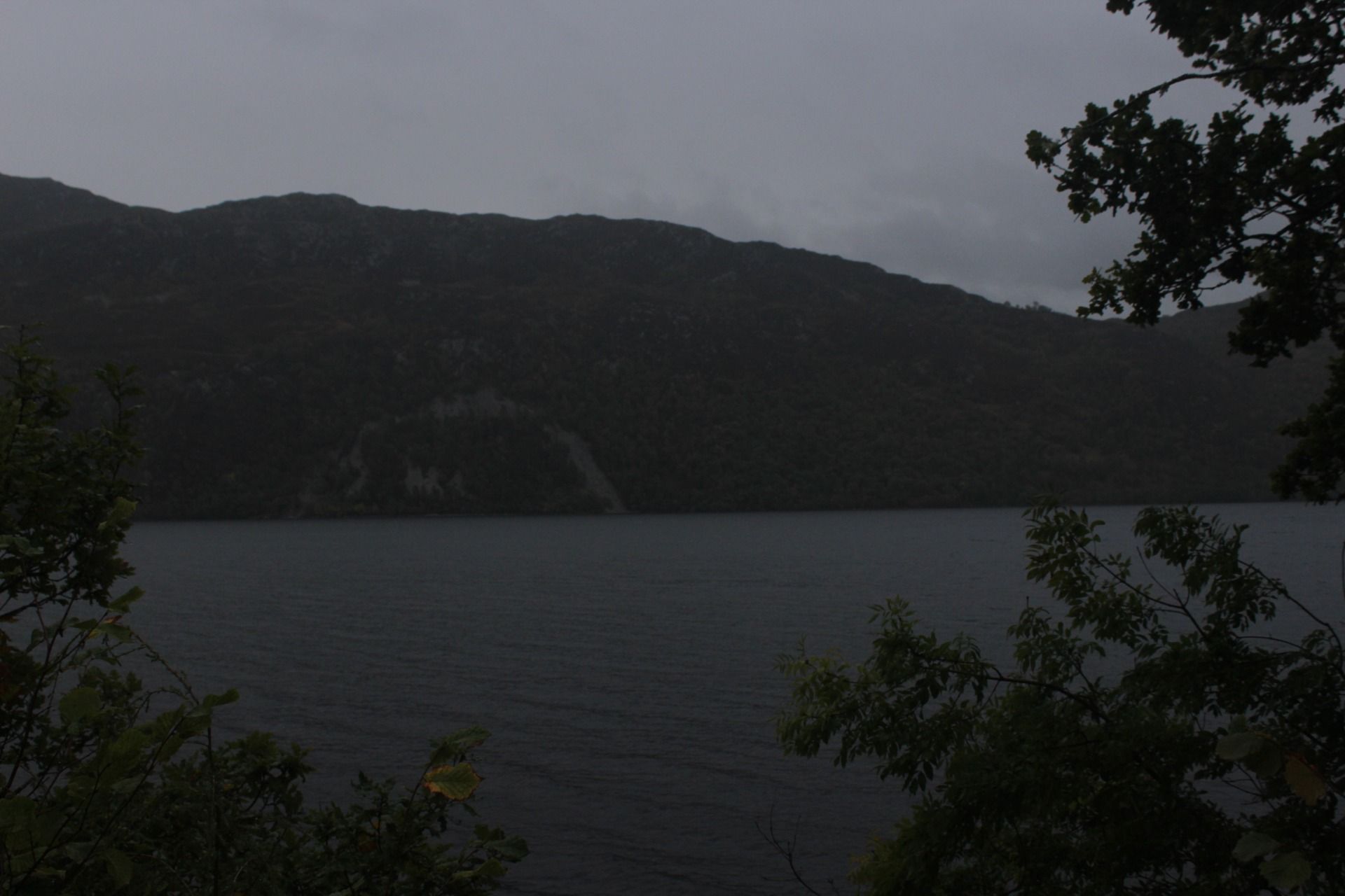 IMG_7651.JPG