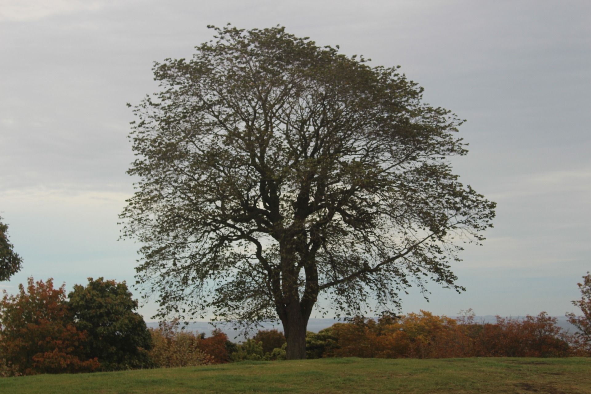 IMG_7753.JPG