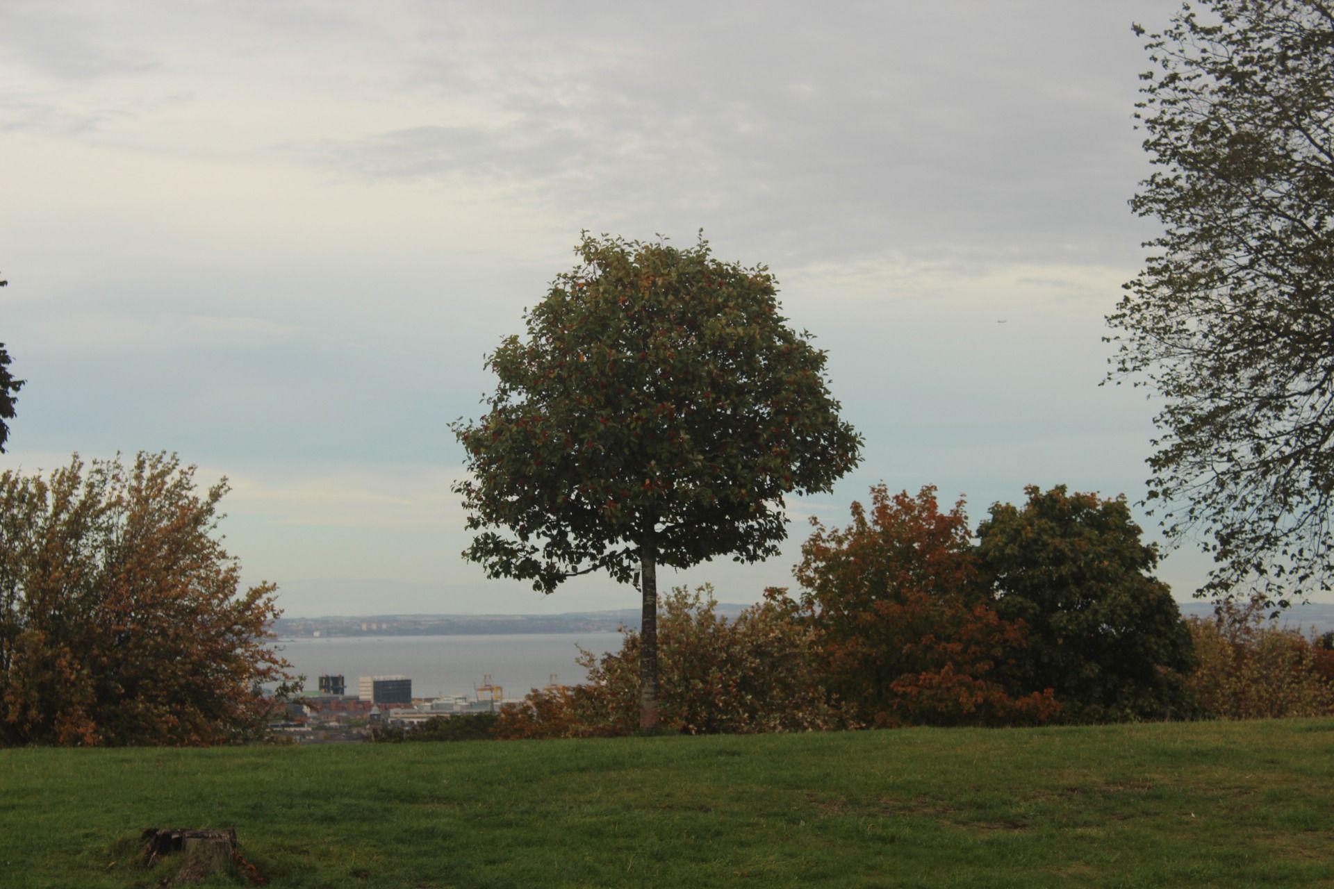 IMG_7752.JPG