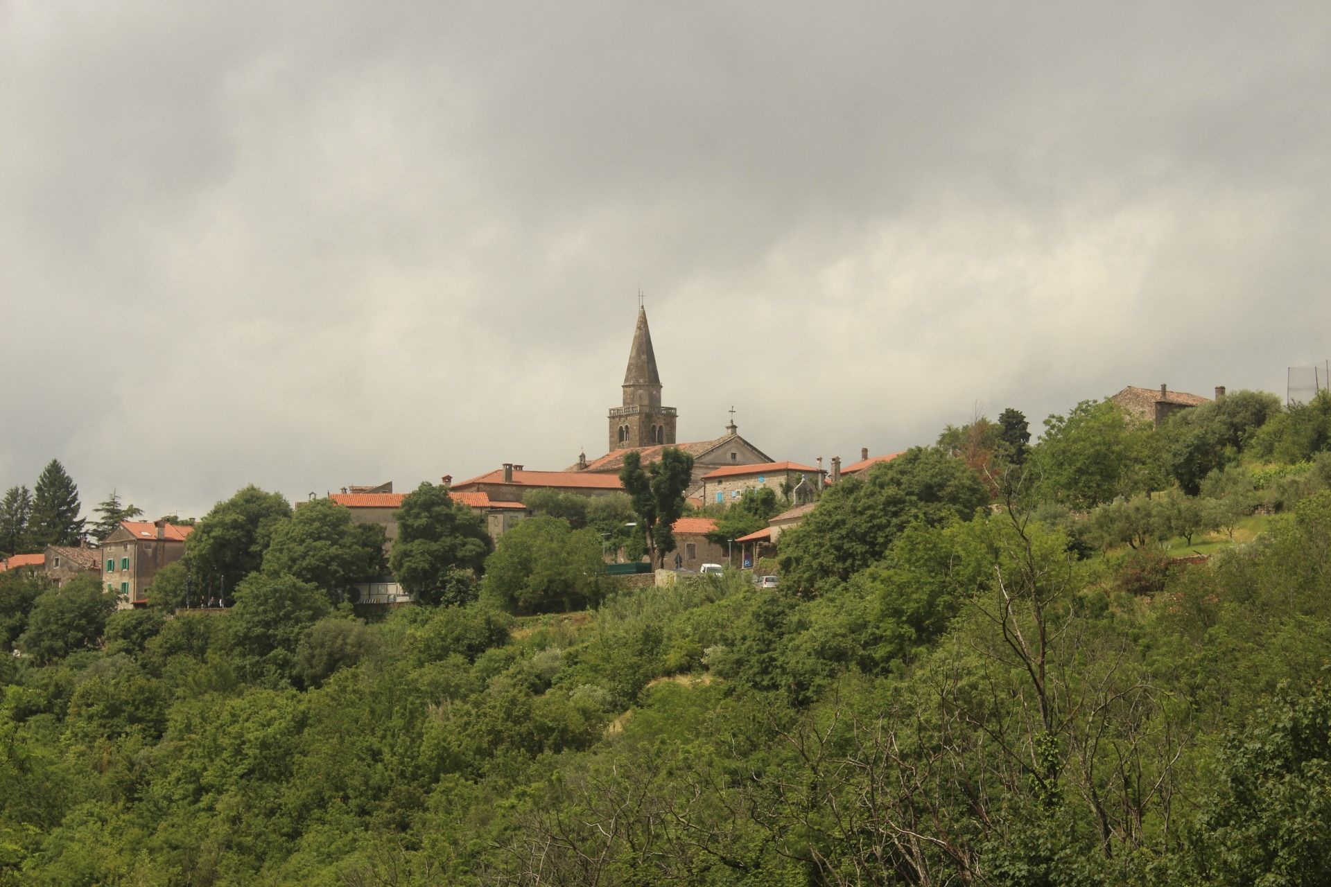 IMG_9419.JPG