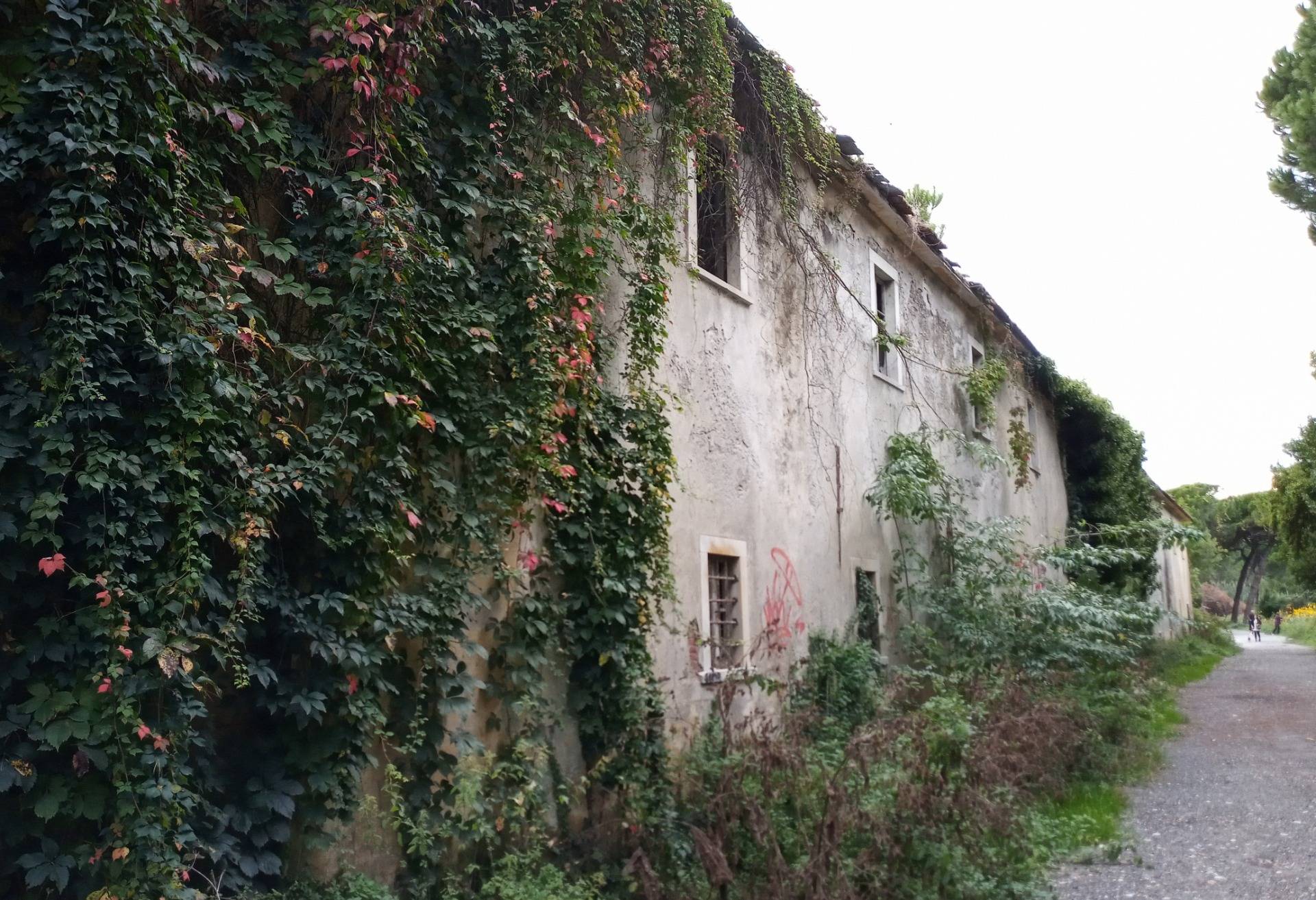 Old abandoned buildings
