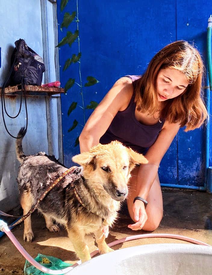 Introducing myself to TravelFeed: AverageBackpackers