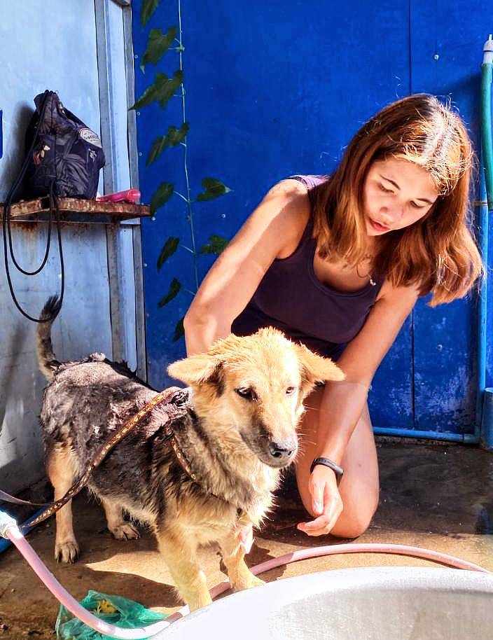 This picture sums me up pretty well. The two things I love - Caring for animals and travelling. (This picture was taken in Laos in case you were wondering) 