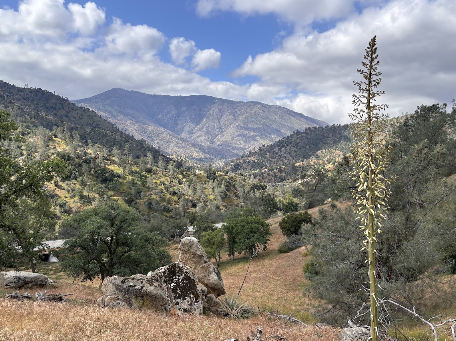 Nothing special on the Kern River Trail