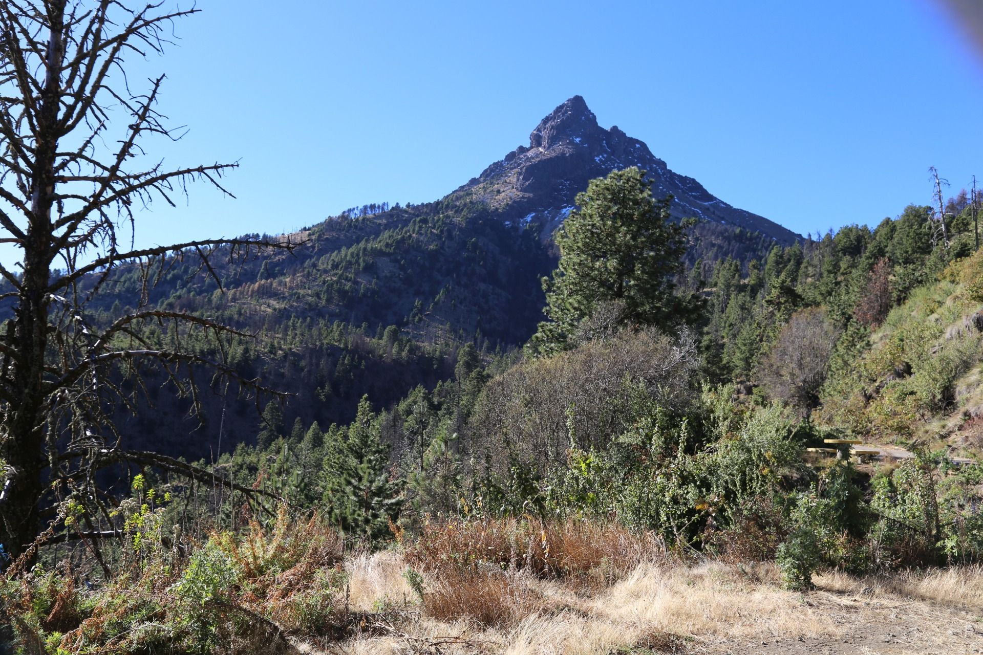 Parque Nacional Volcán Nevado de Colima