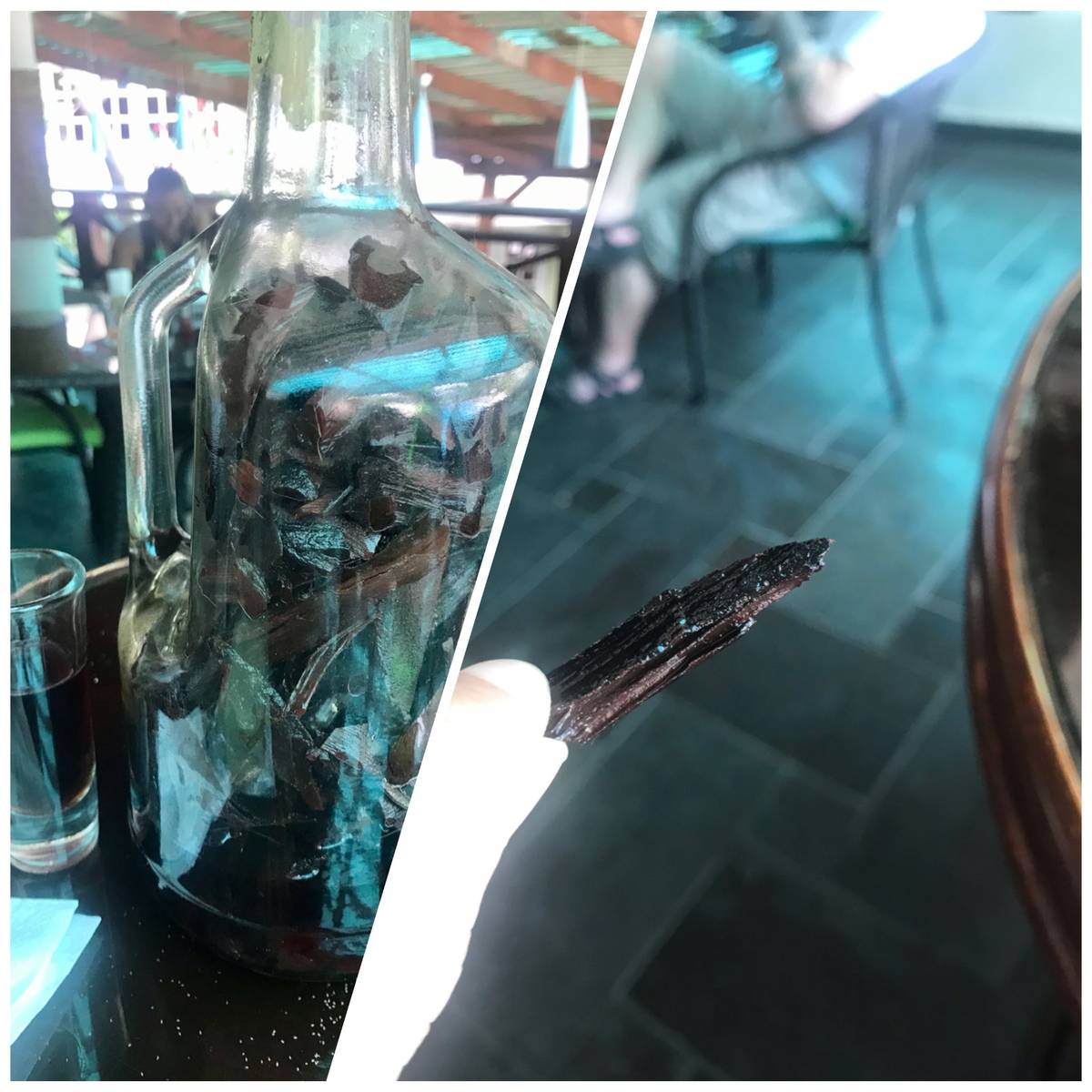 ”Mamjuana” mixed in a bottle and the tree bark inside