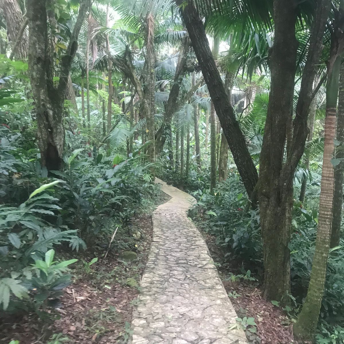 a park on top of the mountain