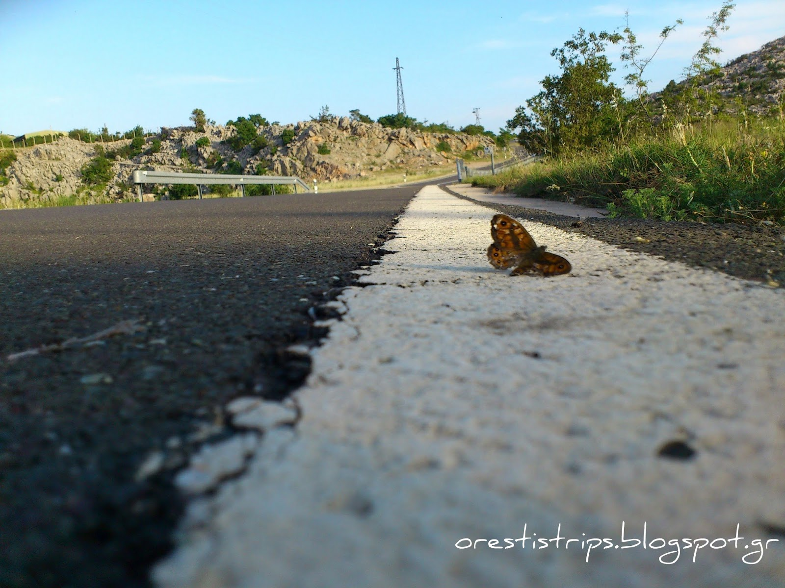 Lucky to have such a model