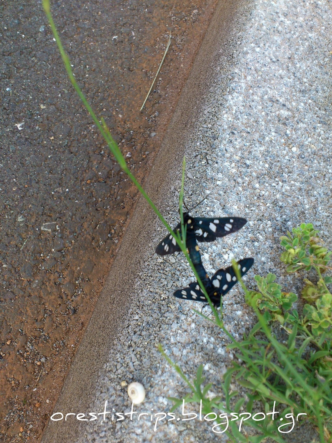 Love is in the air...ehm..sorry...on the tarmac.
