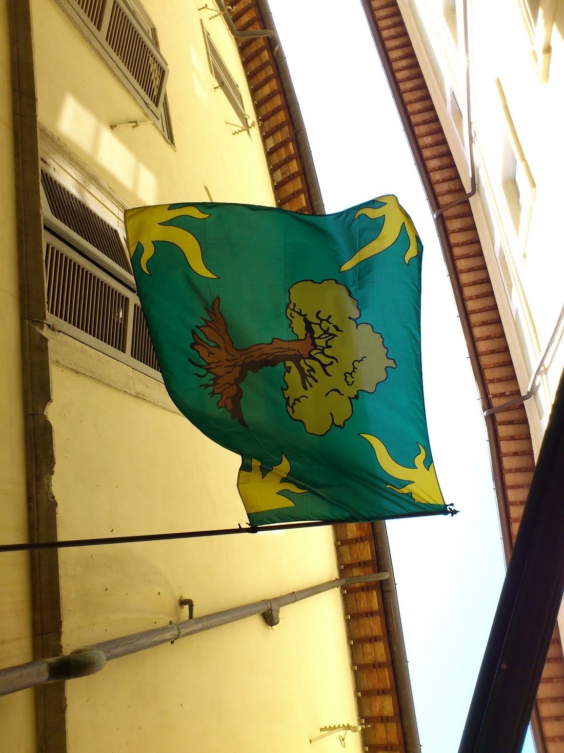 ...it probably does now:same spot, looking at the sky. Trying to actually.