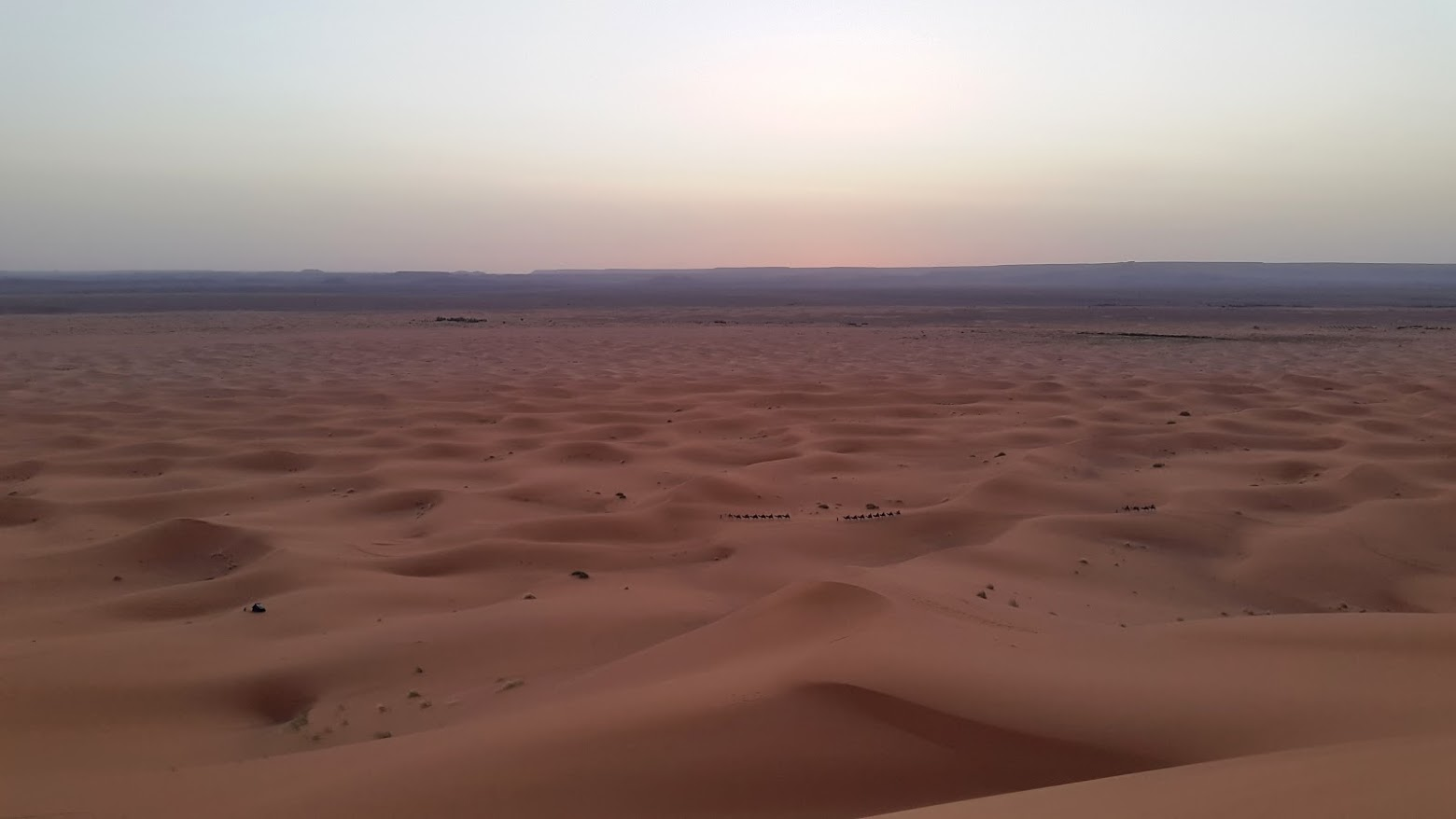 These tiny black dots in line are camels!