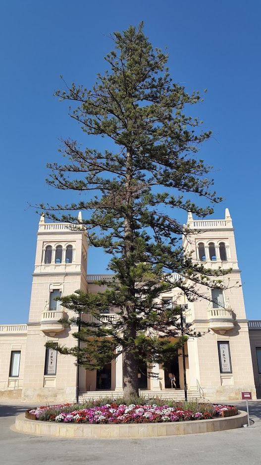 Archaeological museum of Alicante