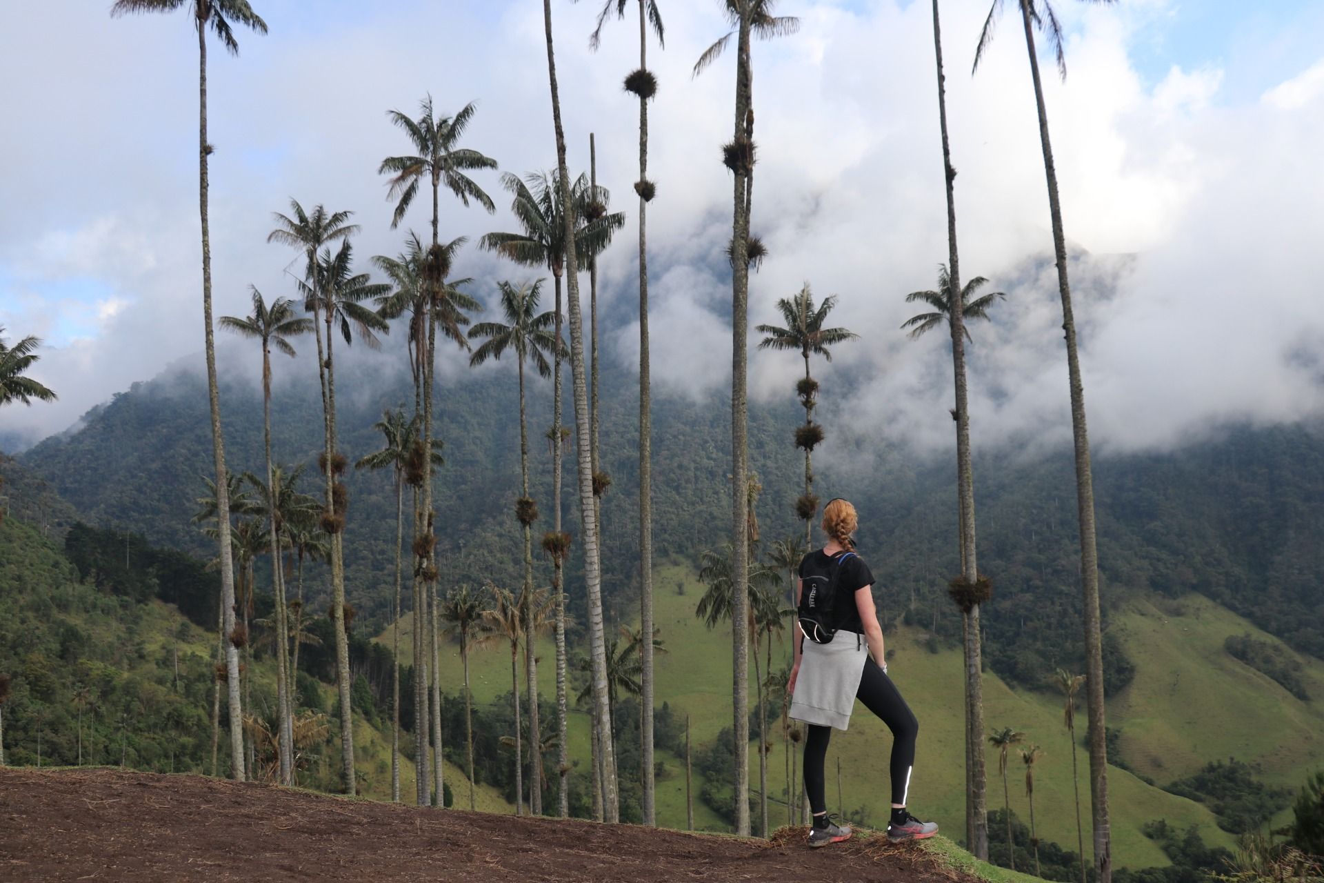 Our Life Story | Chapter 16 – The Waxpalm Giants!