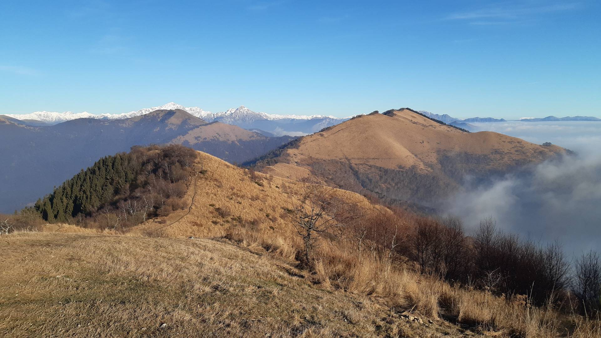 View from the top of Monte Boletto