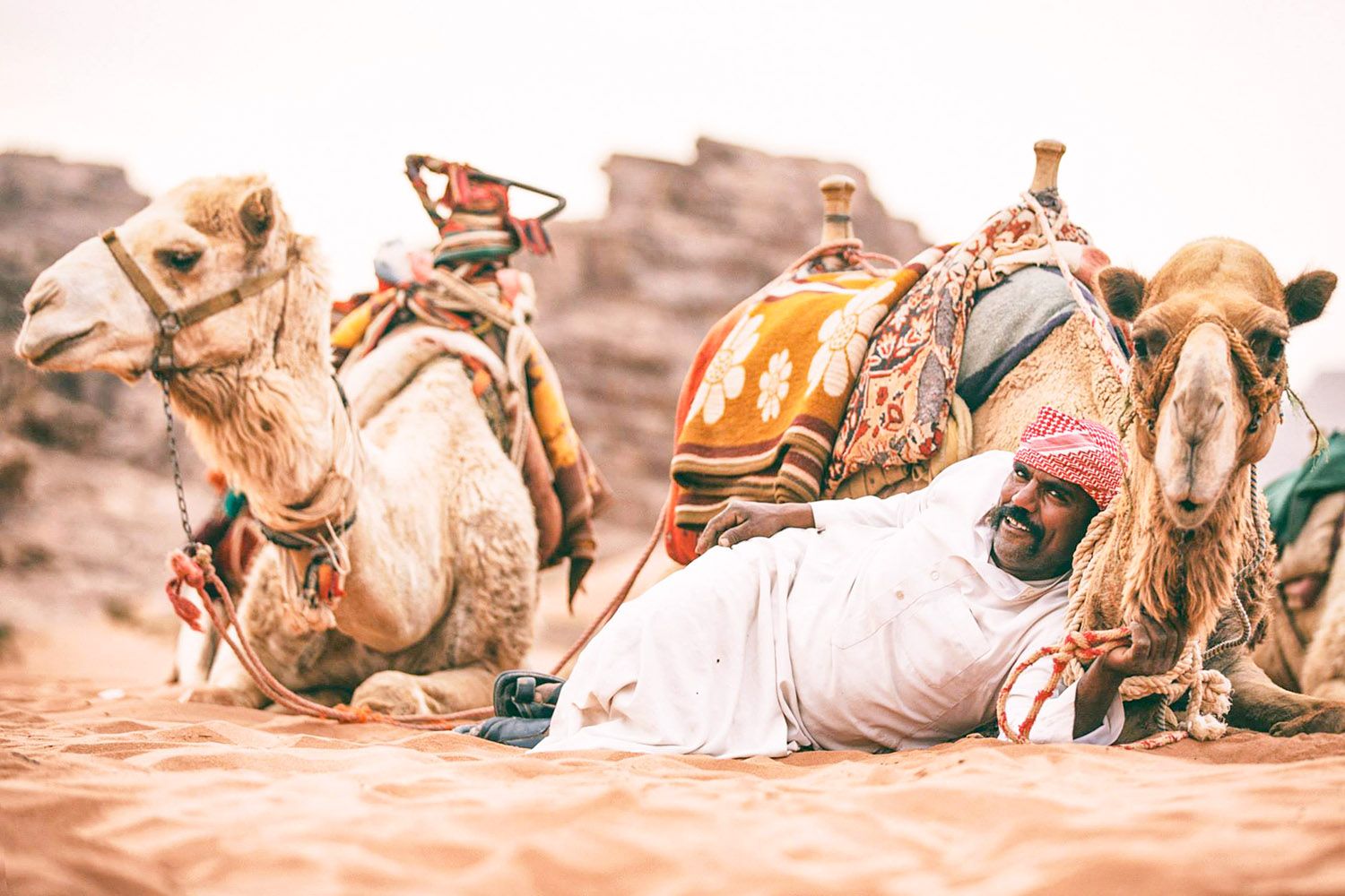 Shaban and his camels