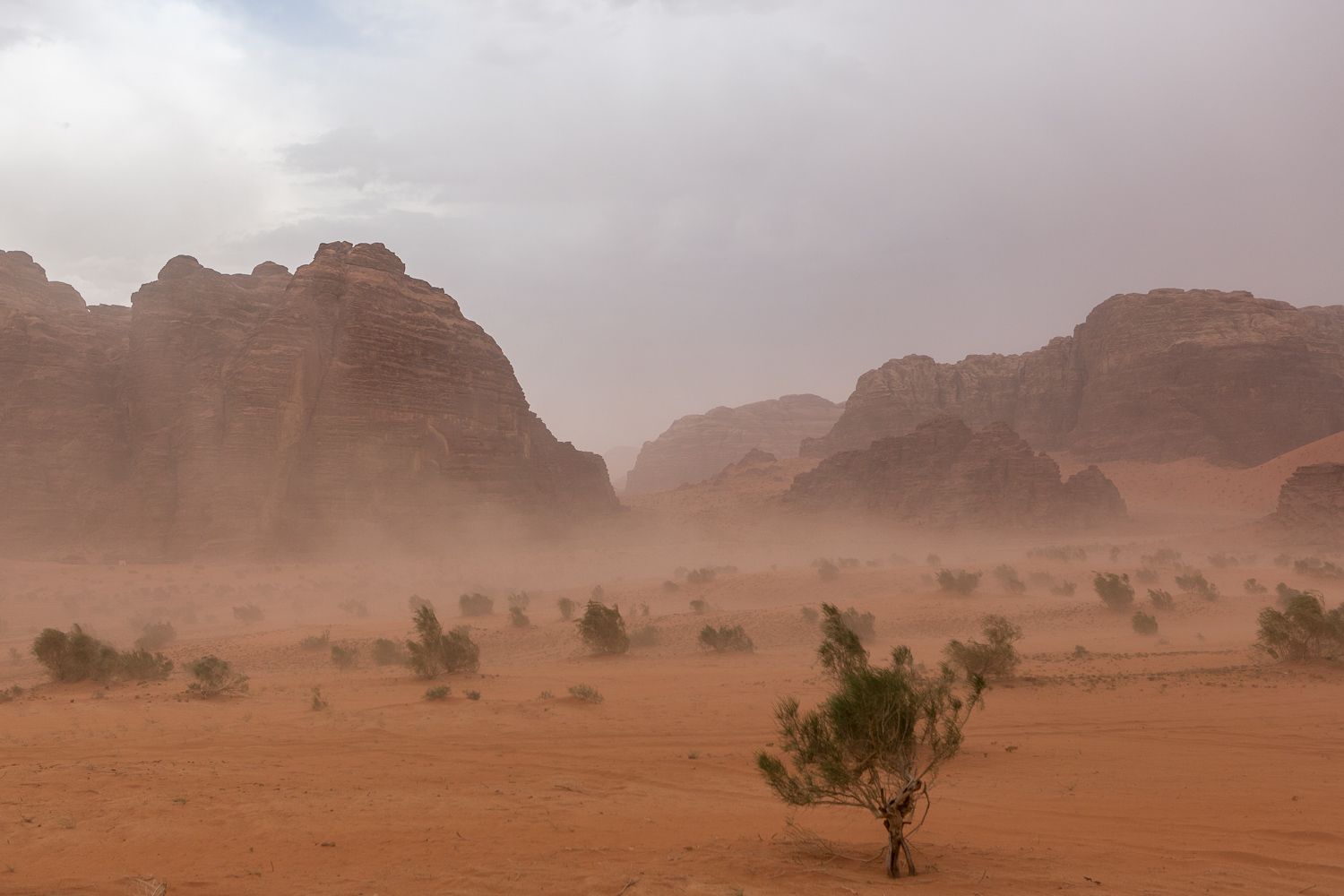 A Storm Sweeping Through