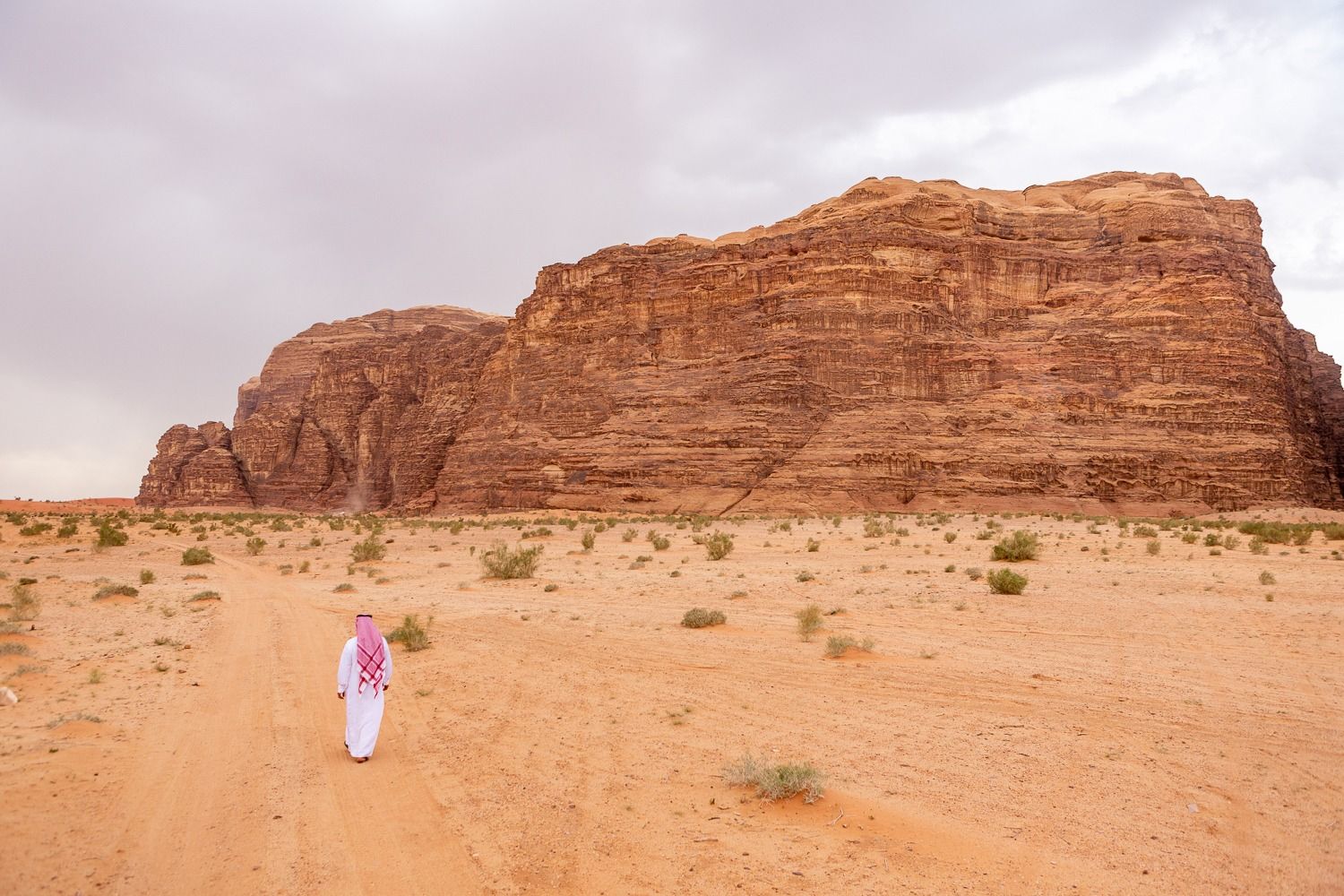 Wandering in Wadi Rum