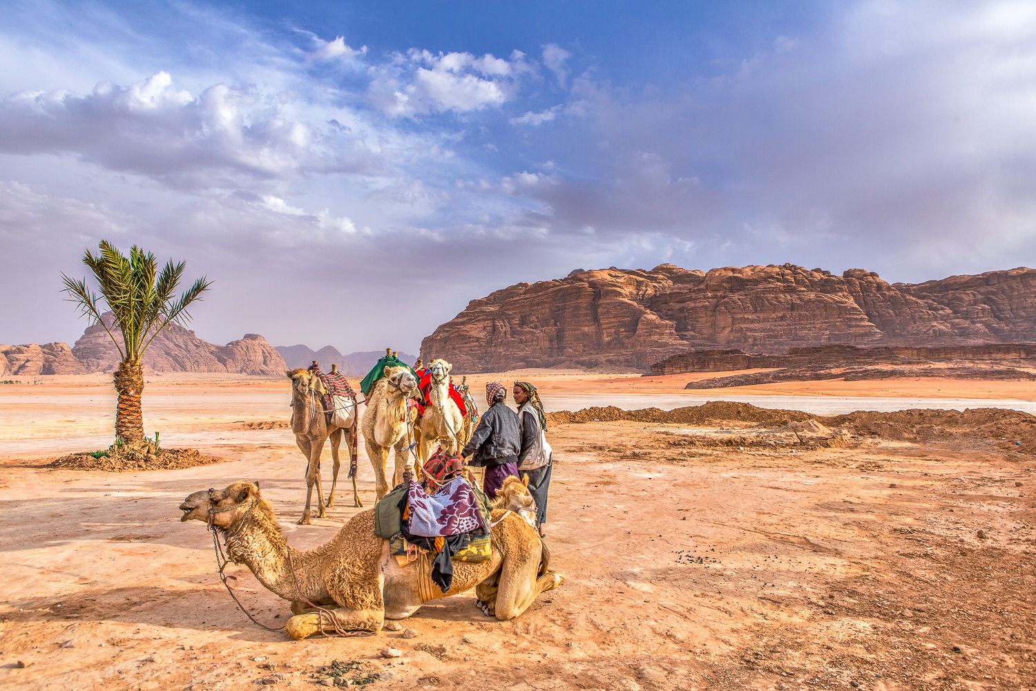 Camping with the Bedouin