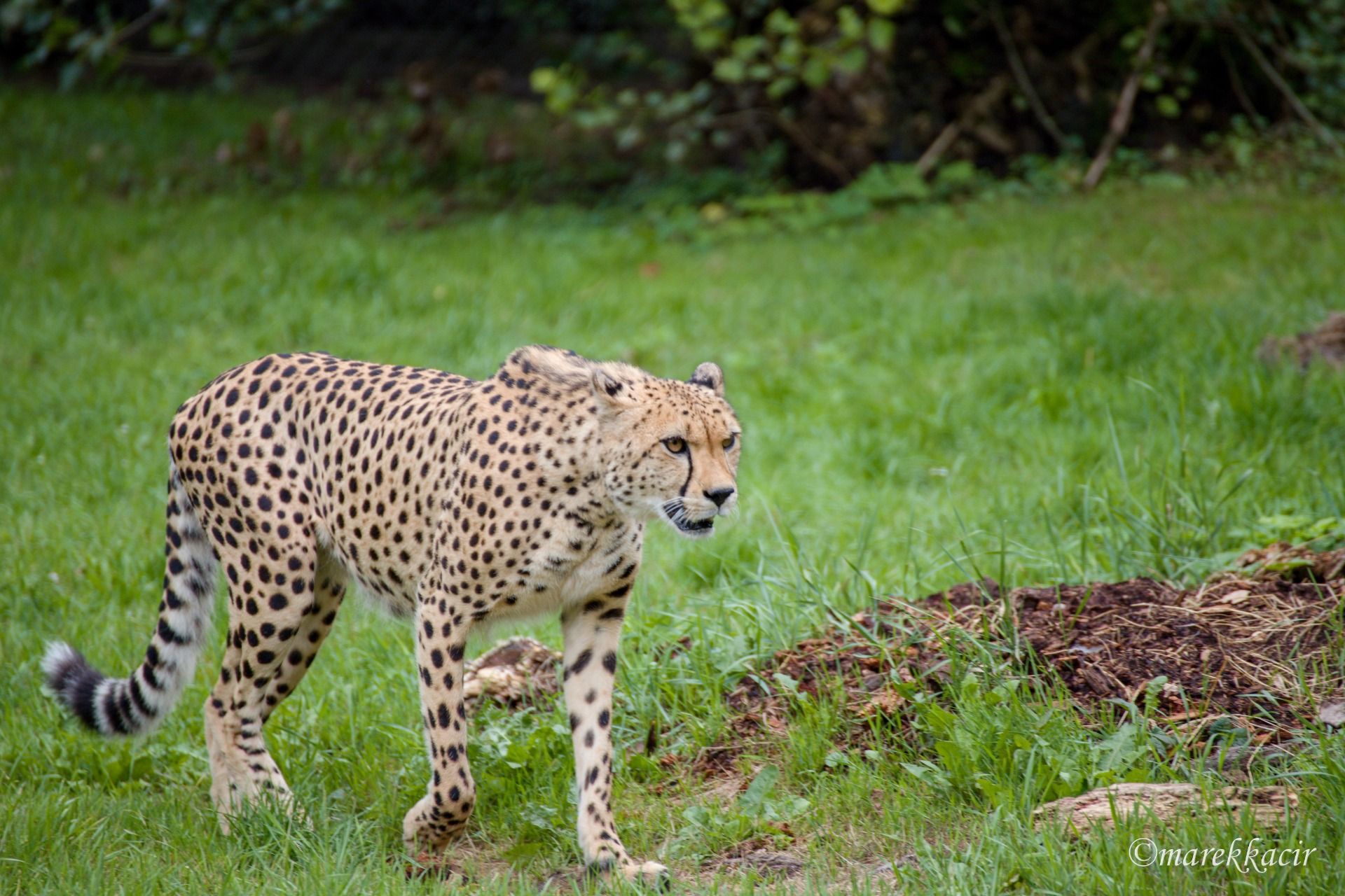 Warsaw ZOO