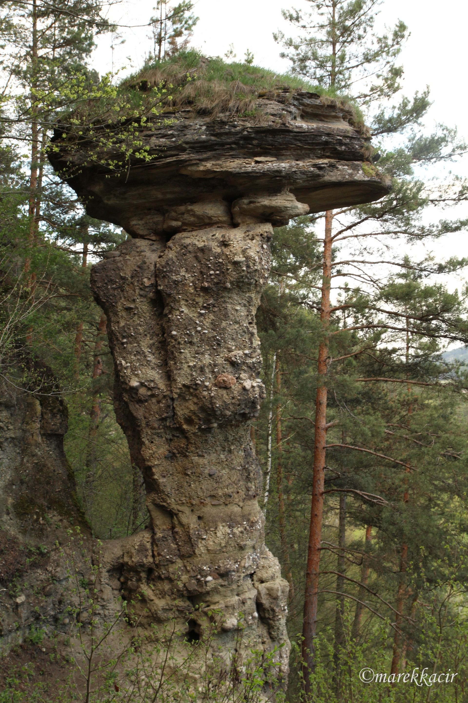 Stone mushroom